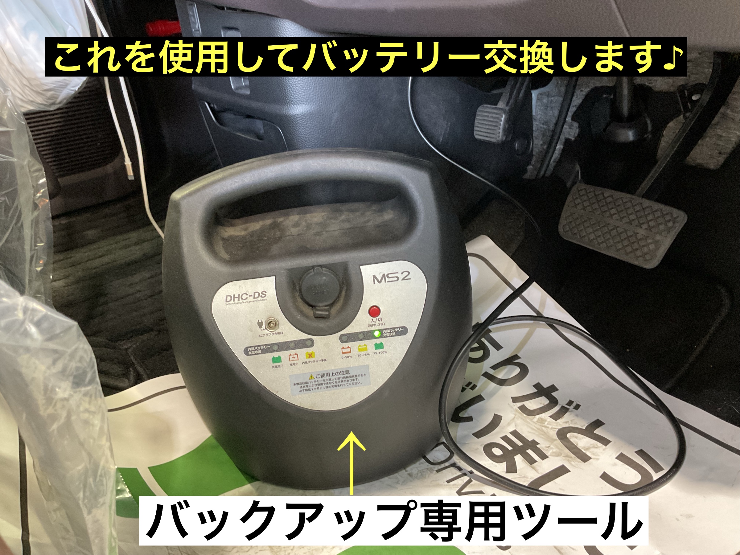 スタッフが撮影