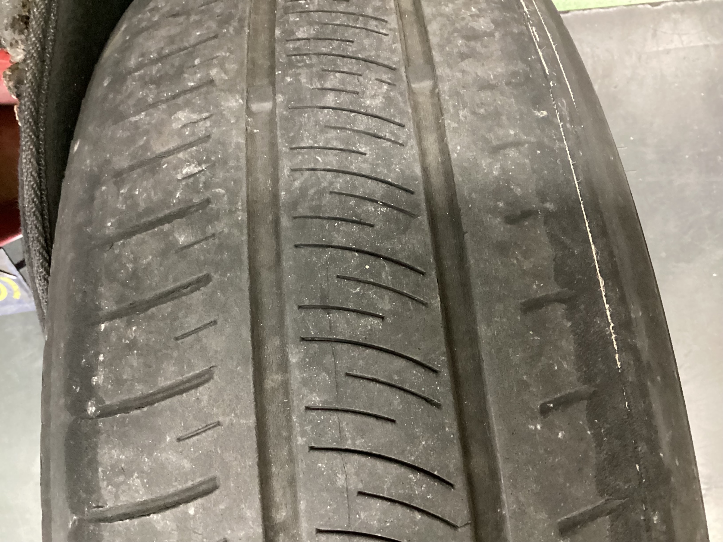 スタッフ撮影分