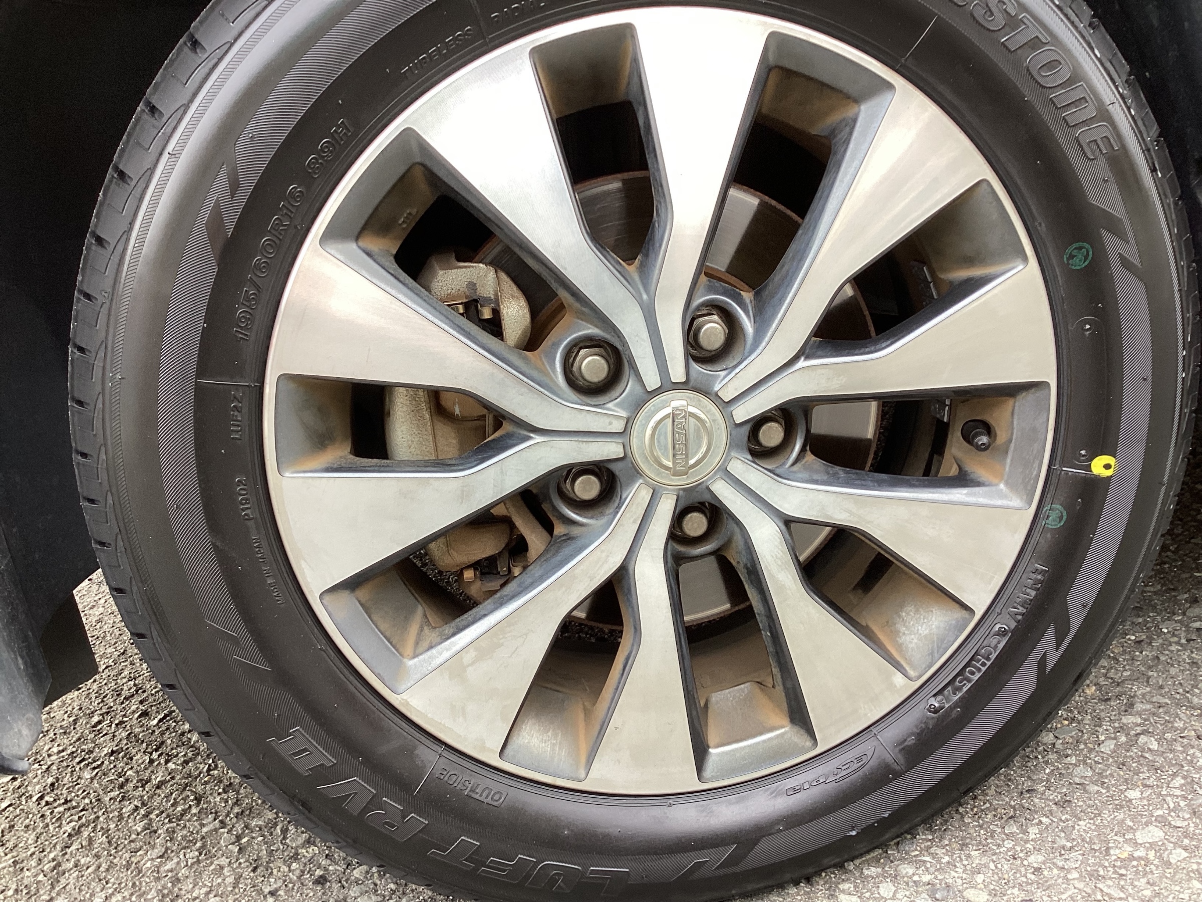 スタッフ撮影分