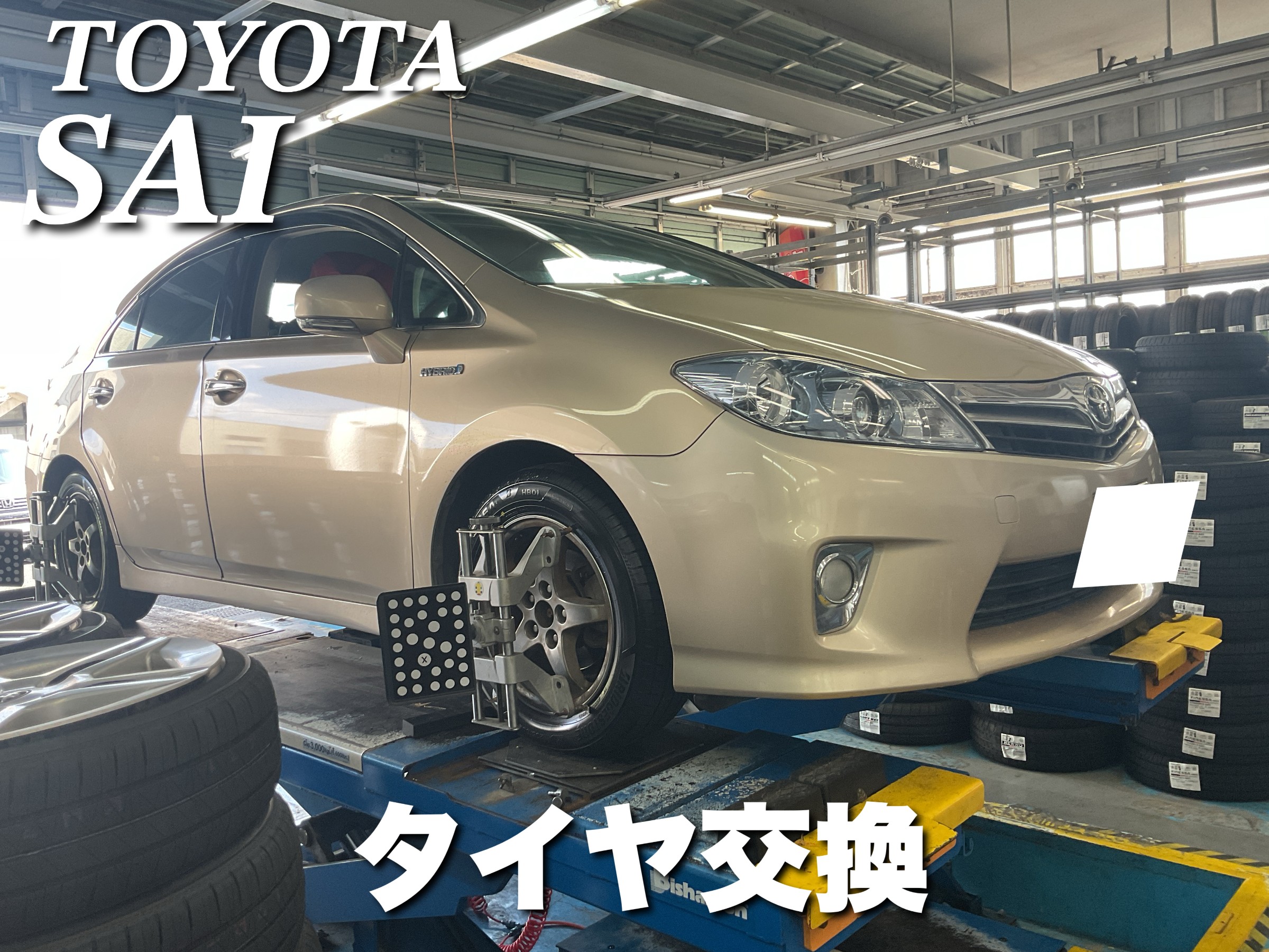 スタッフが撮影した画像