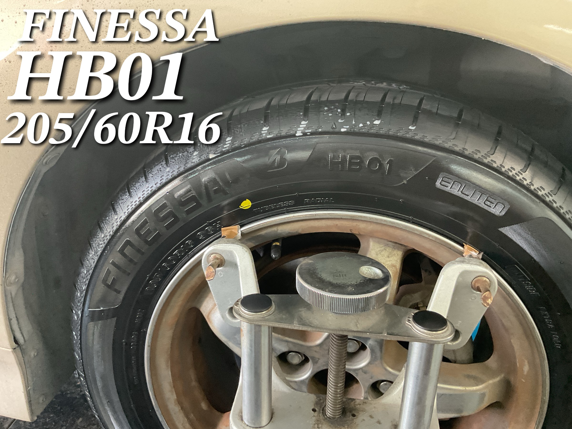 スタッフが撮影した画像