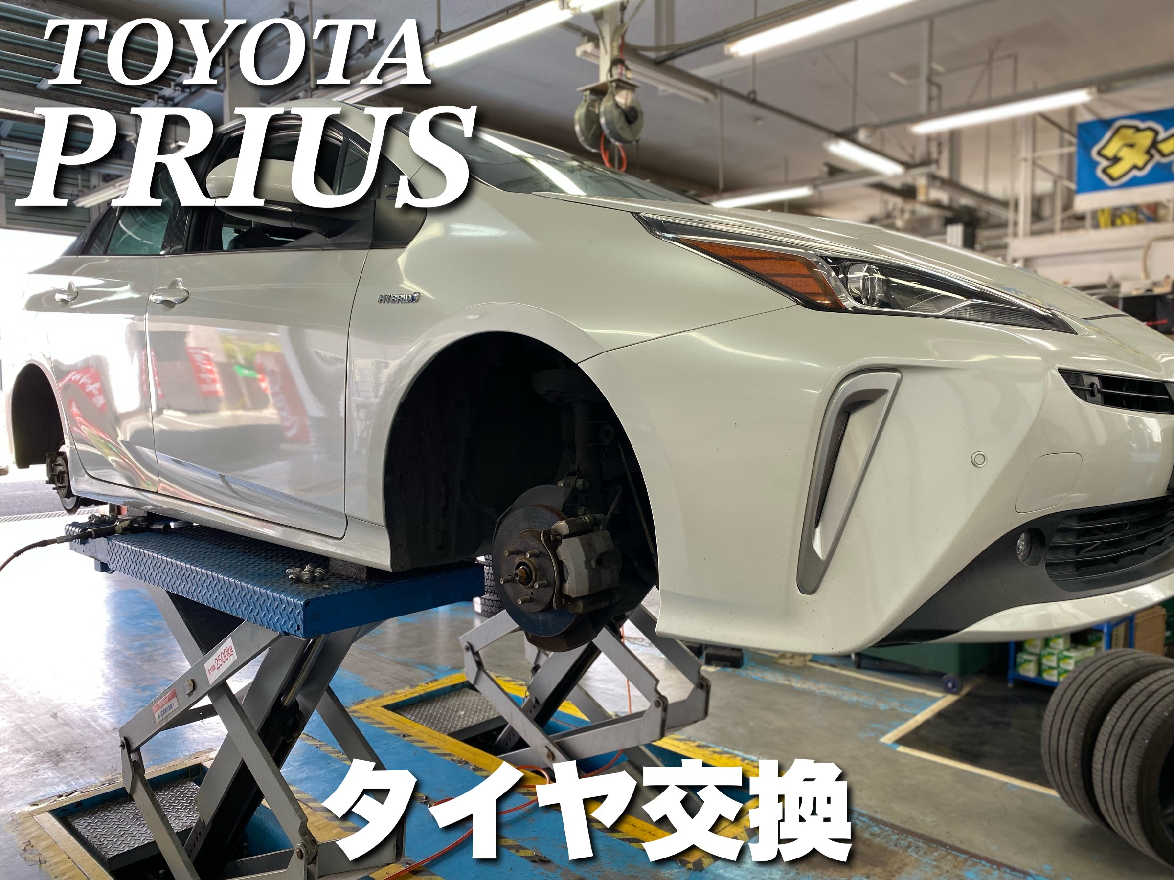 スタッフが撮影した画像