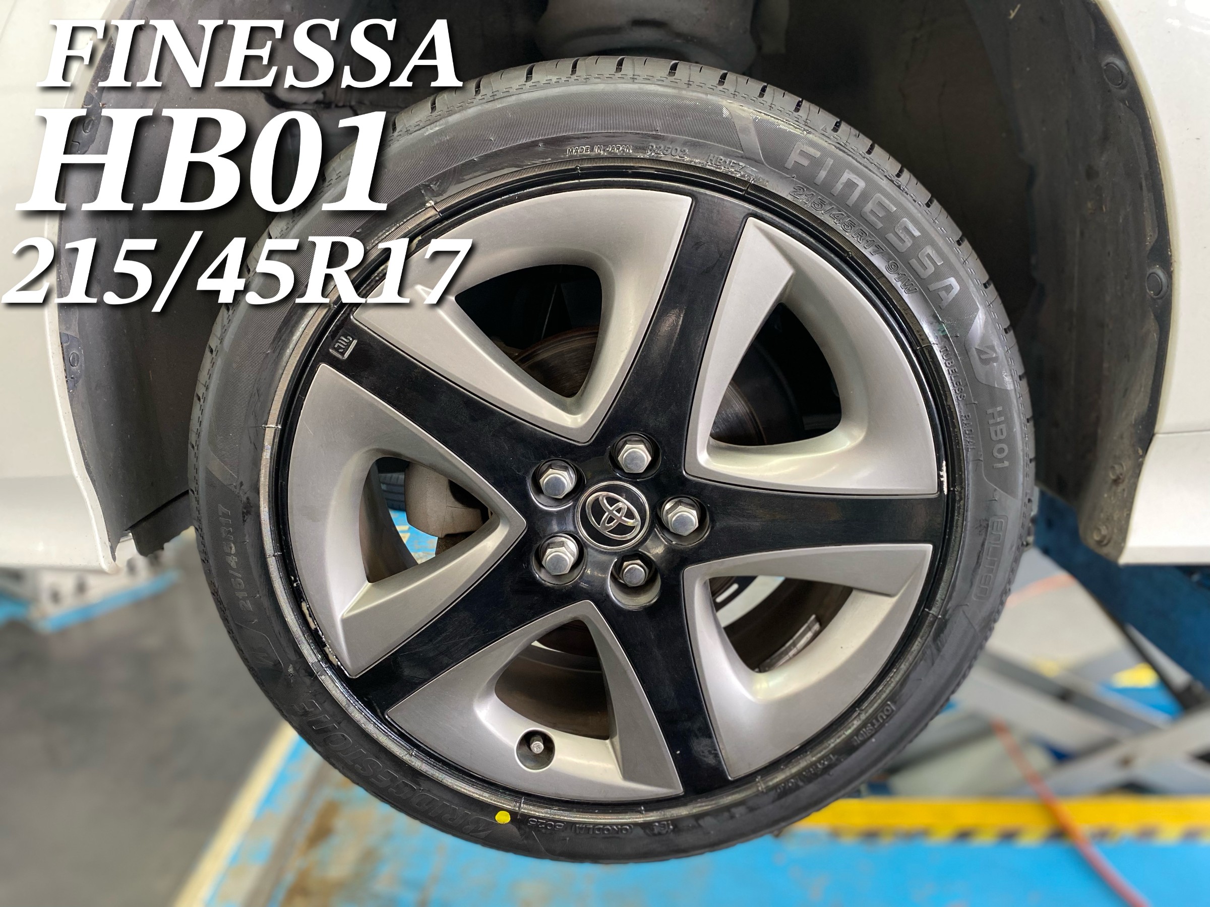 スタッフが撮影した画像