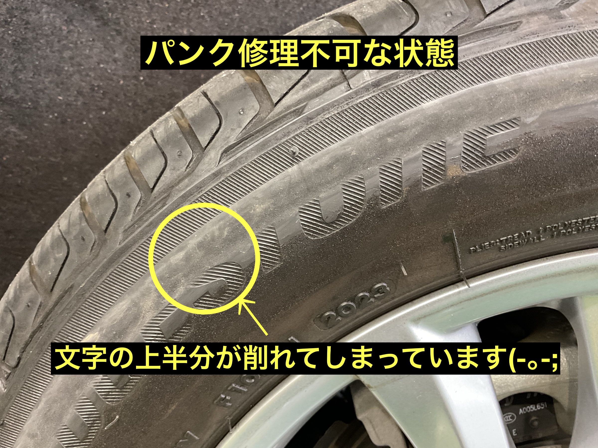 スタッフが撮影