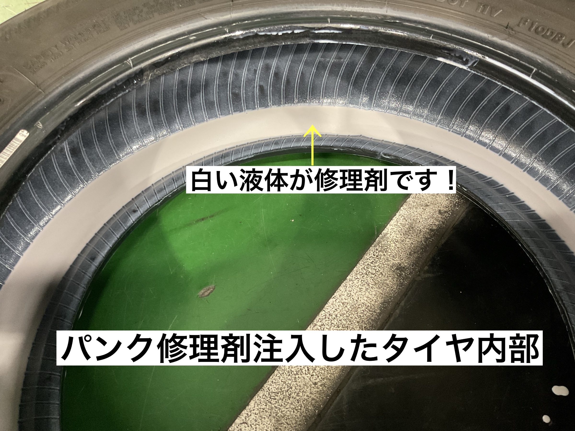 スタッフが撮影