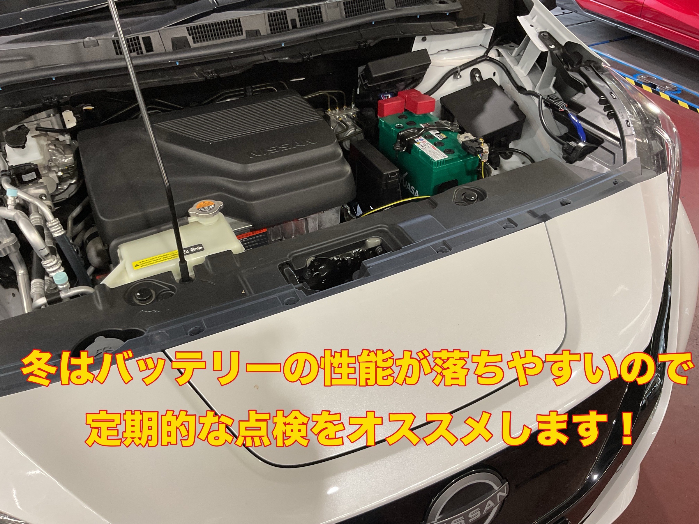 スタッフ撮影。無料画像編集アプリにて編集。
