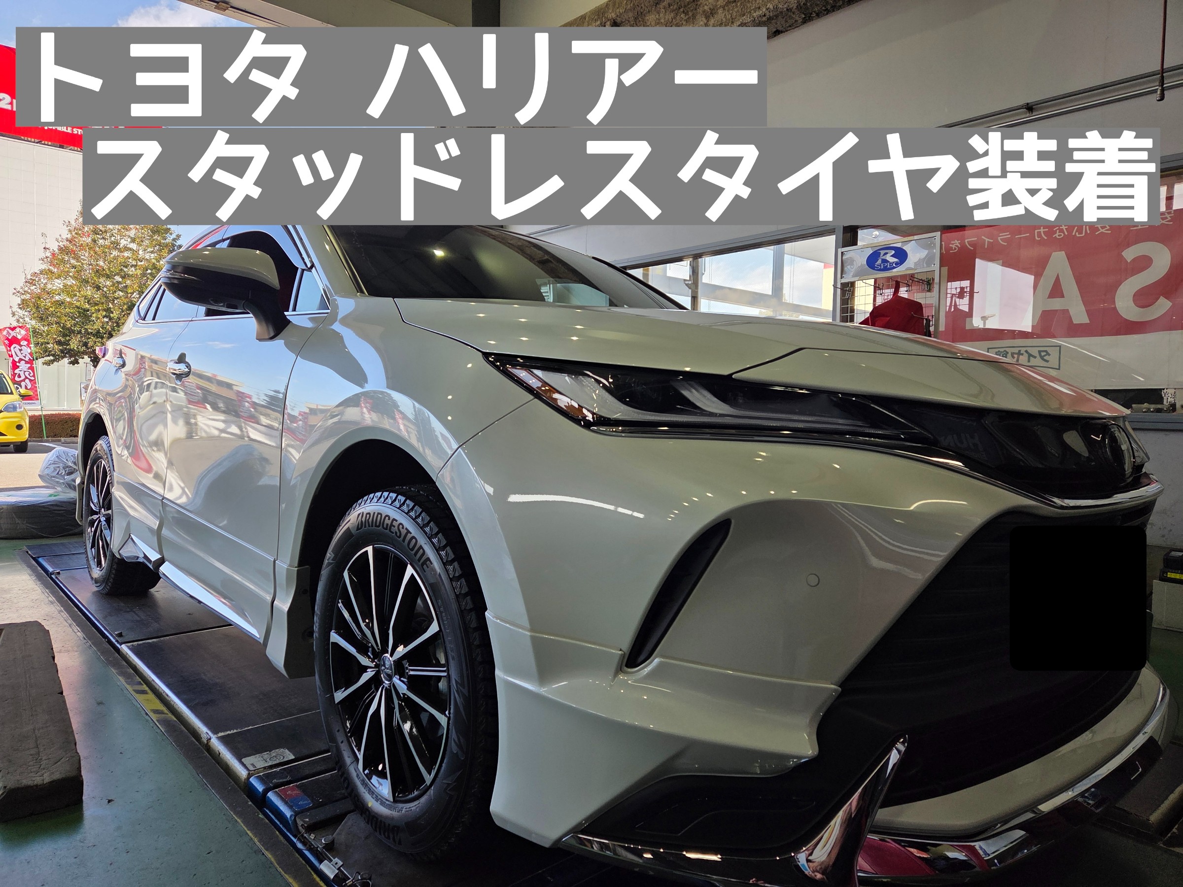 スタッフが撮影しました