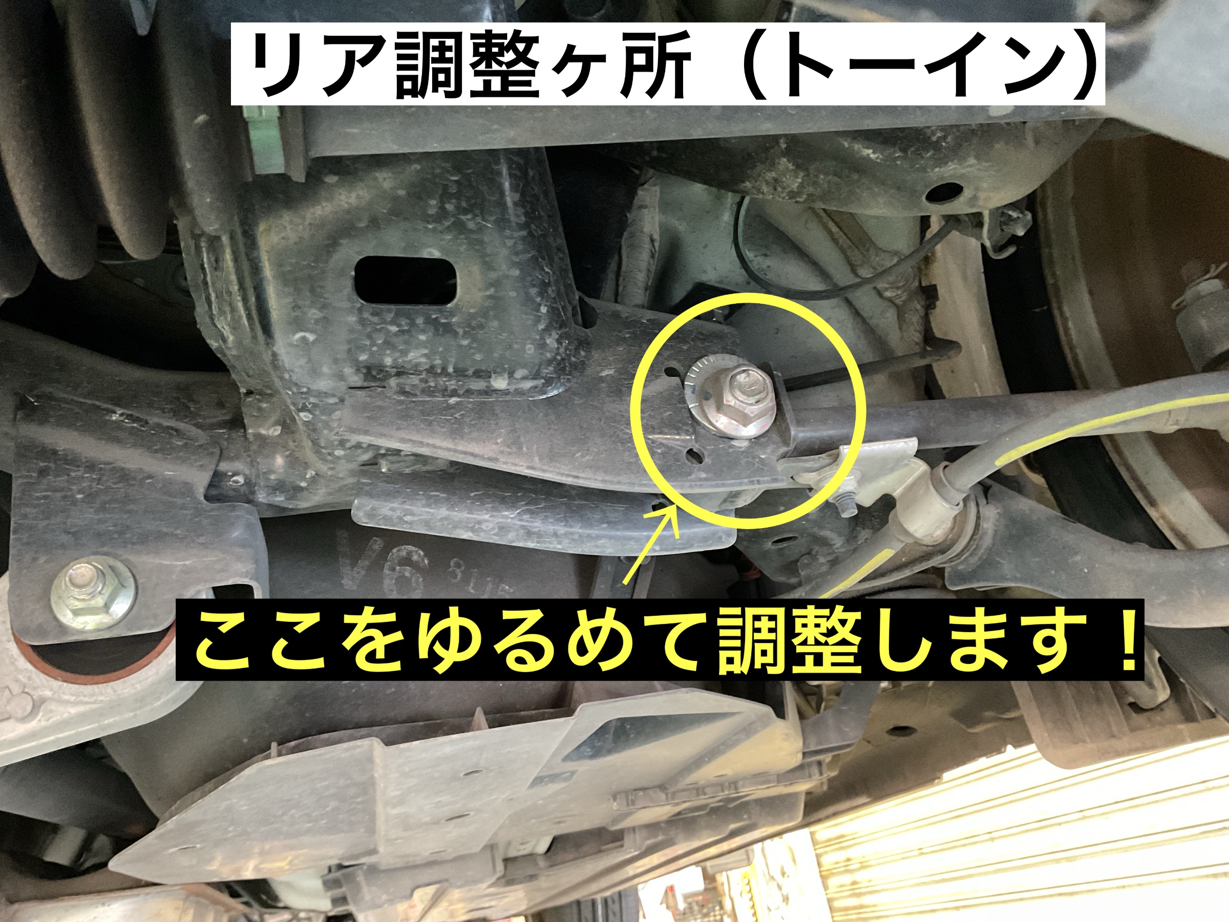 スタッフが撮影