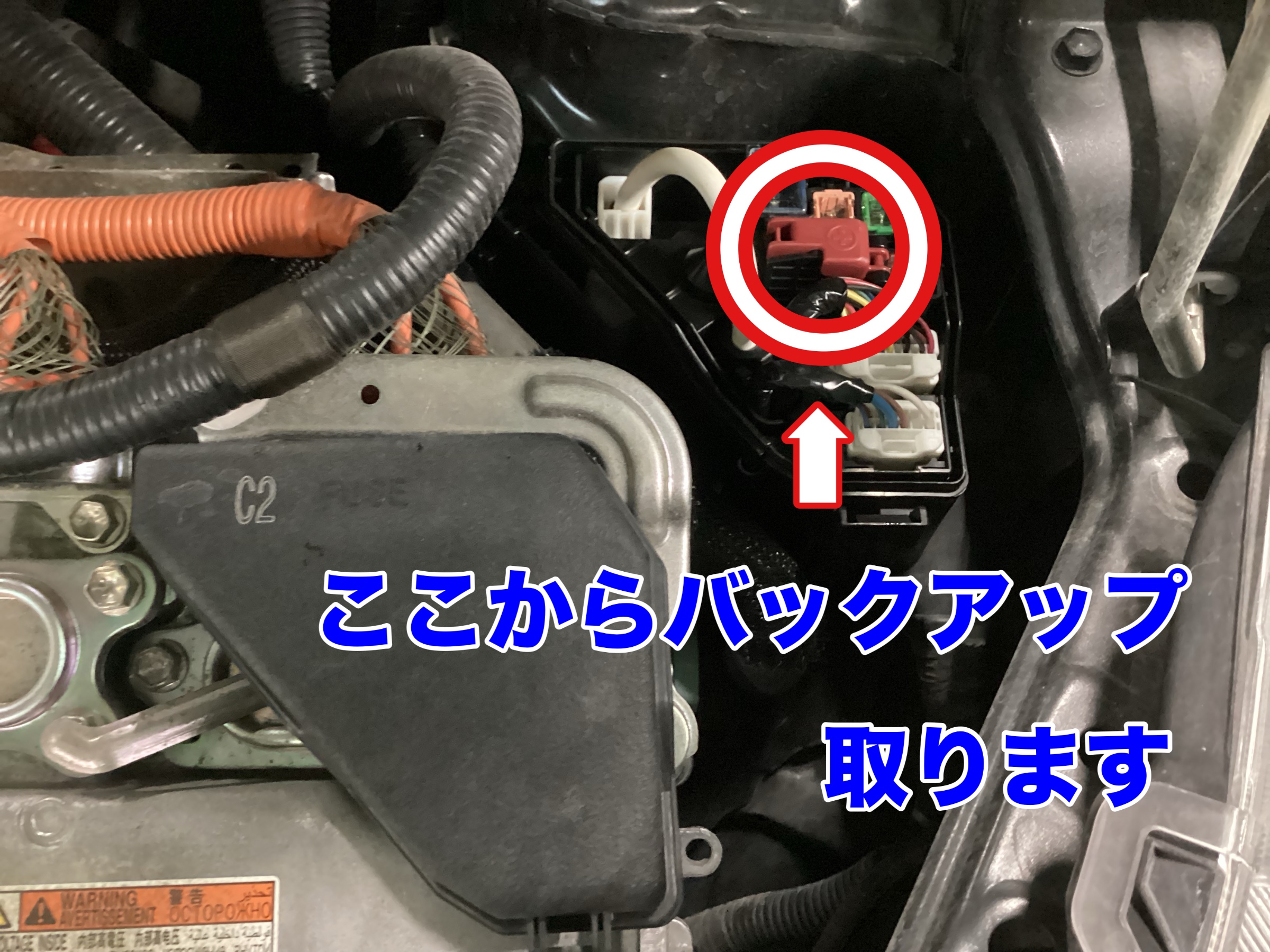 スタッフ撮影