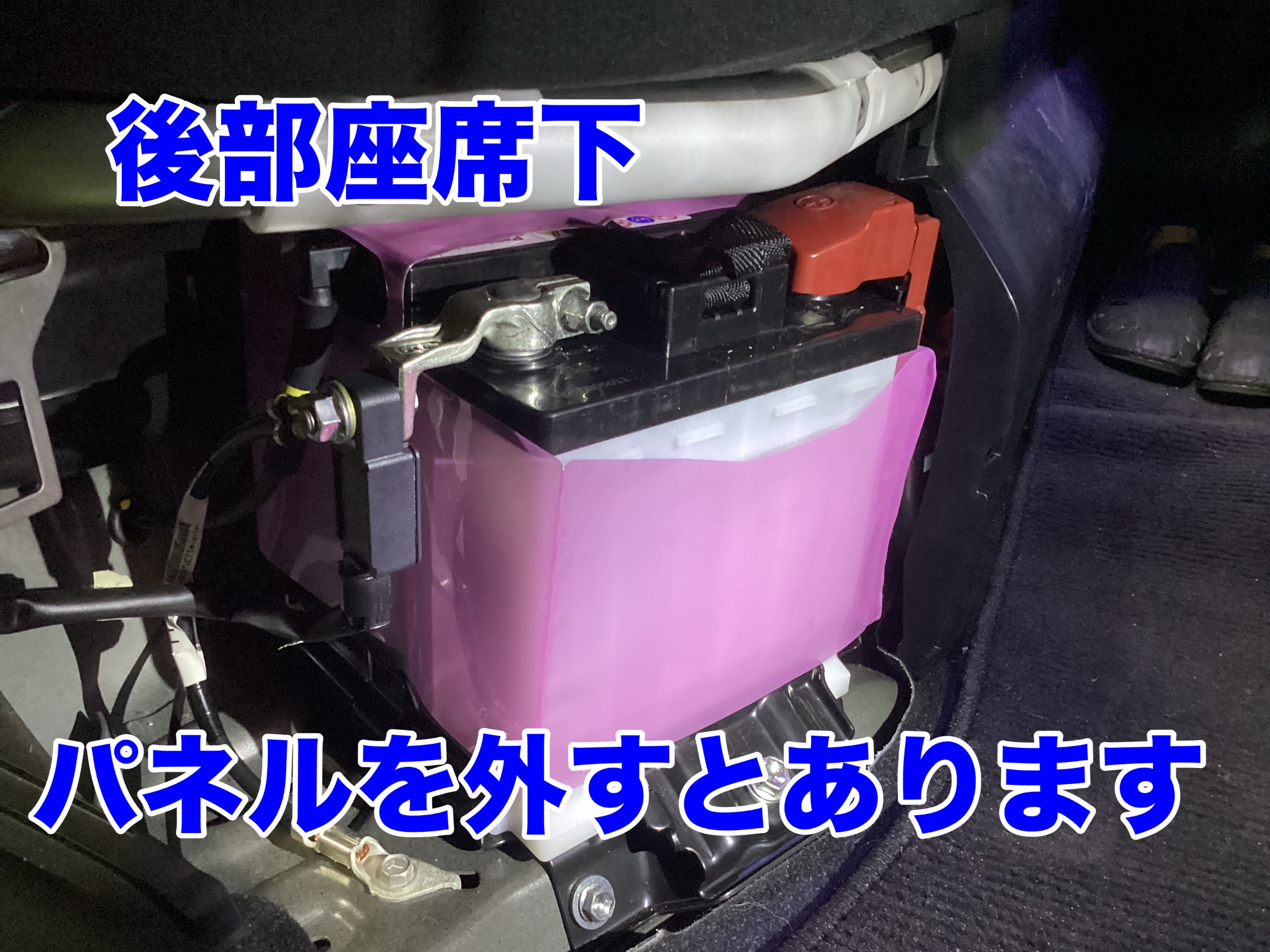 スタッフ撮影