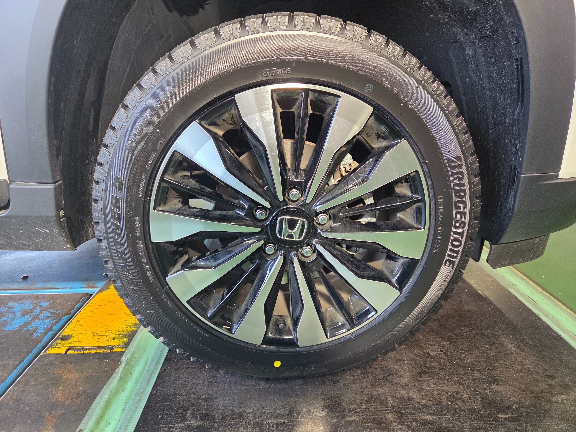 スタッフが撮影しました