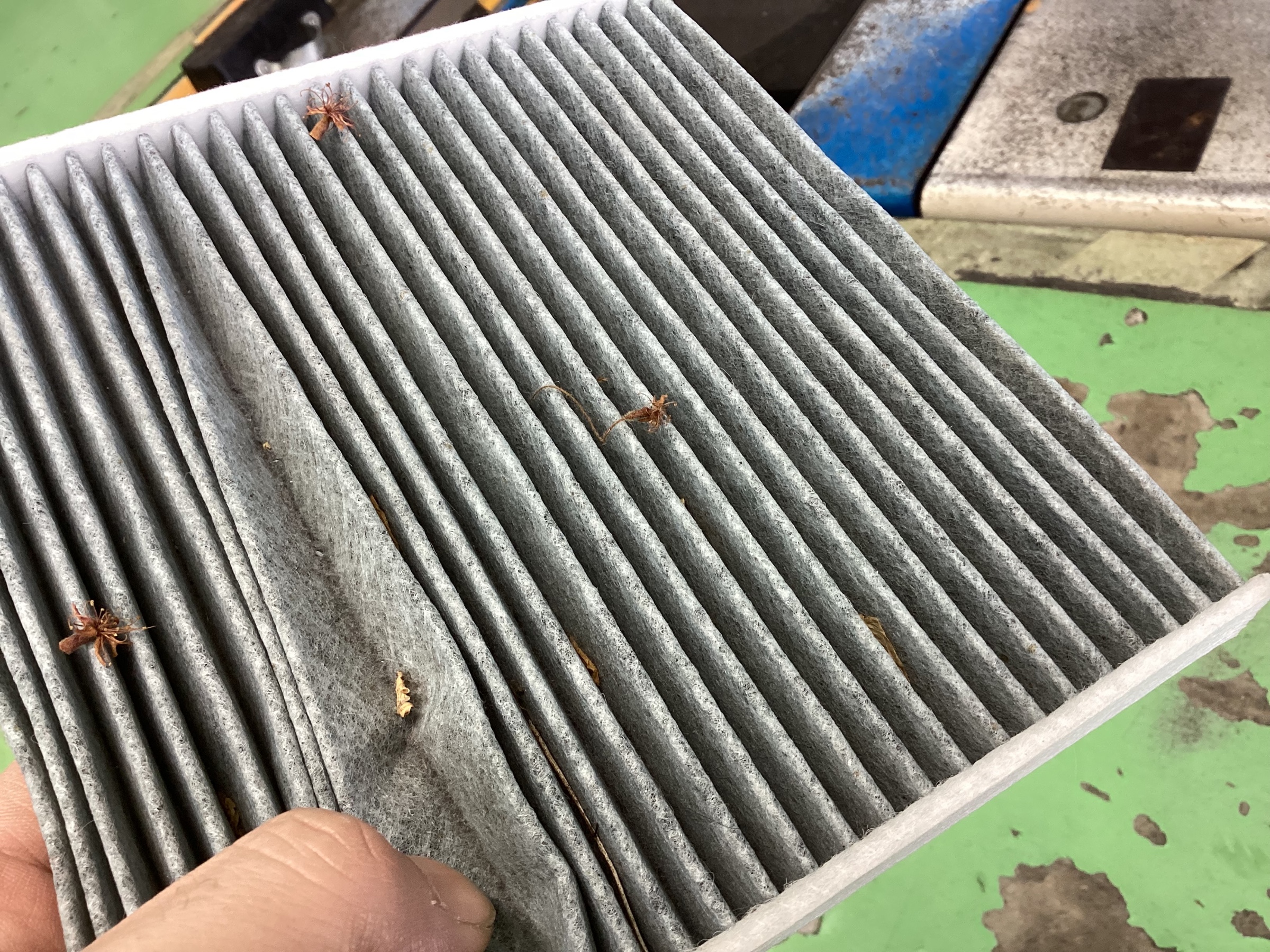 スタッフ撮影分