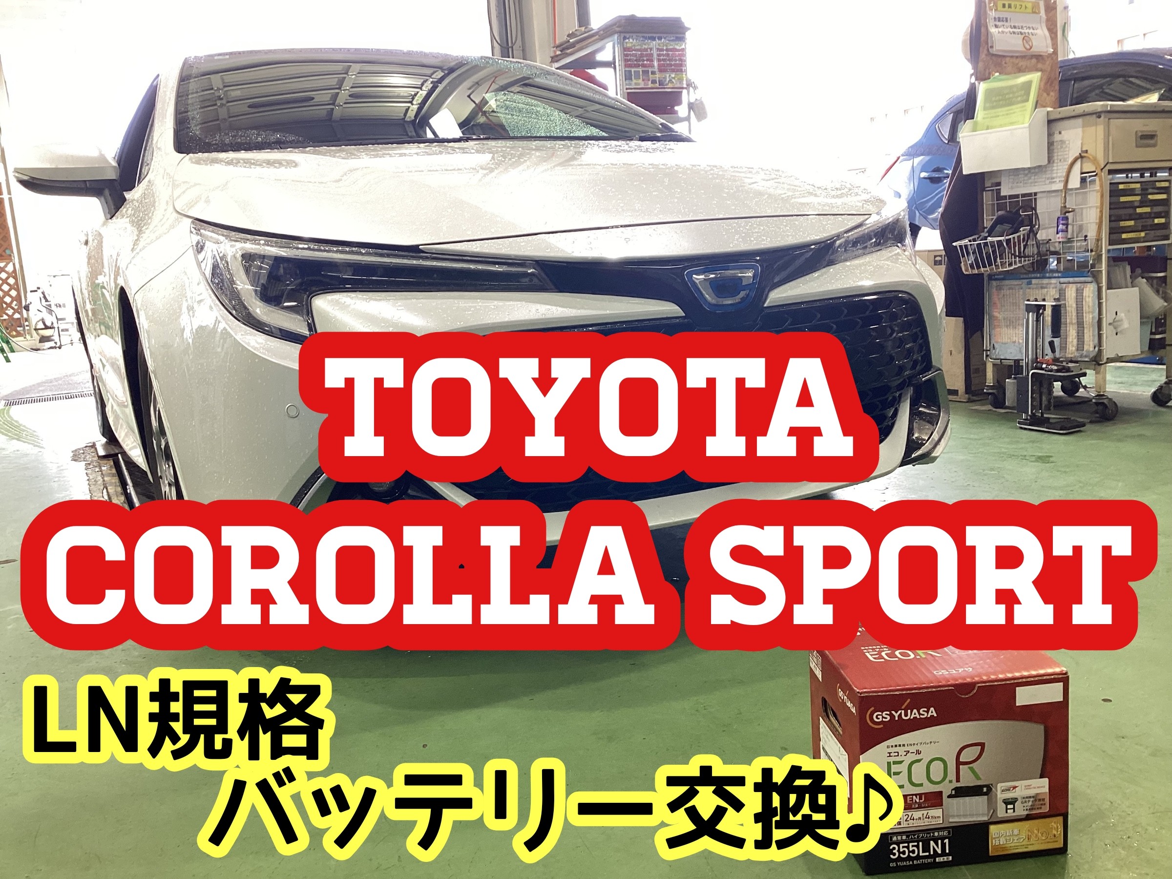 スタッフ撮影