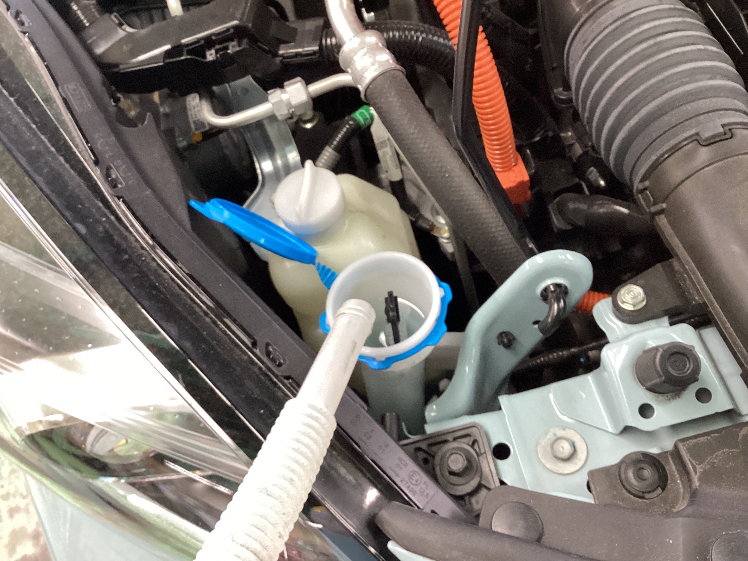 スタッフ撮影分