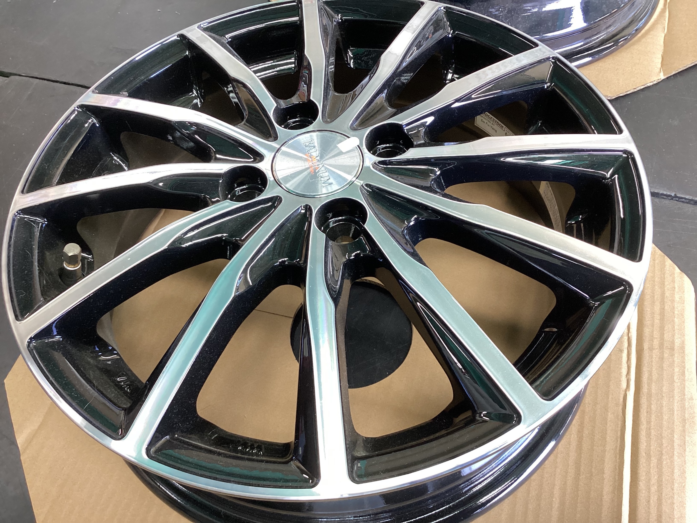 スタッフ撮影分