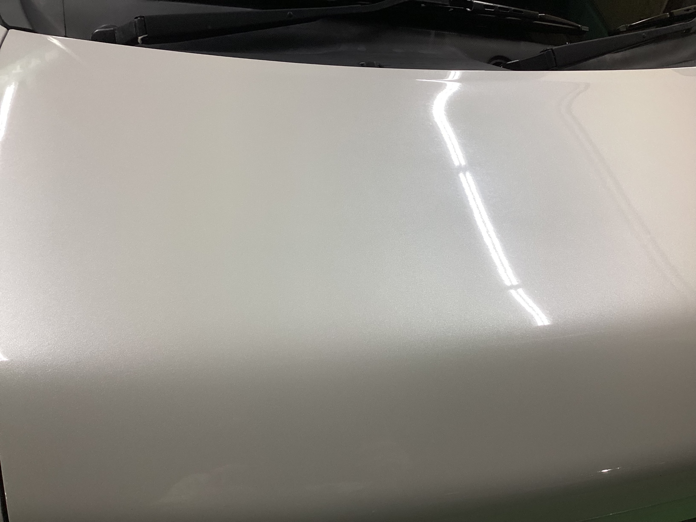 スタッフ撮影分