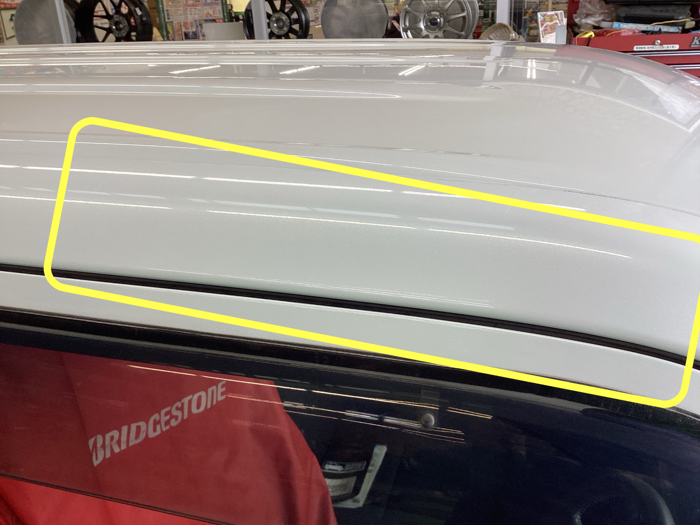 スタッフ撮影分