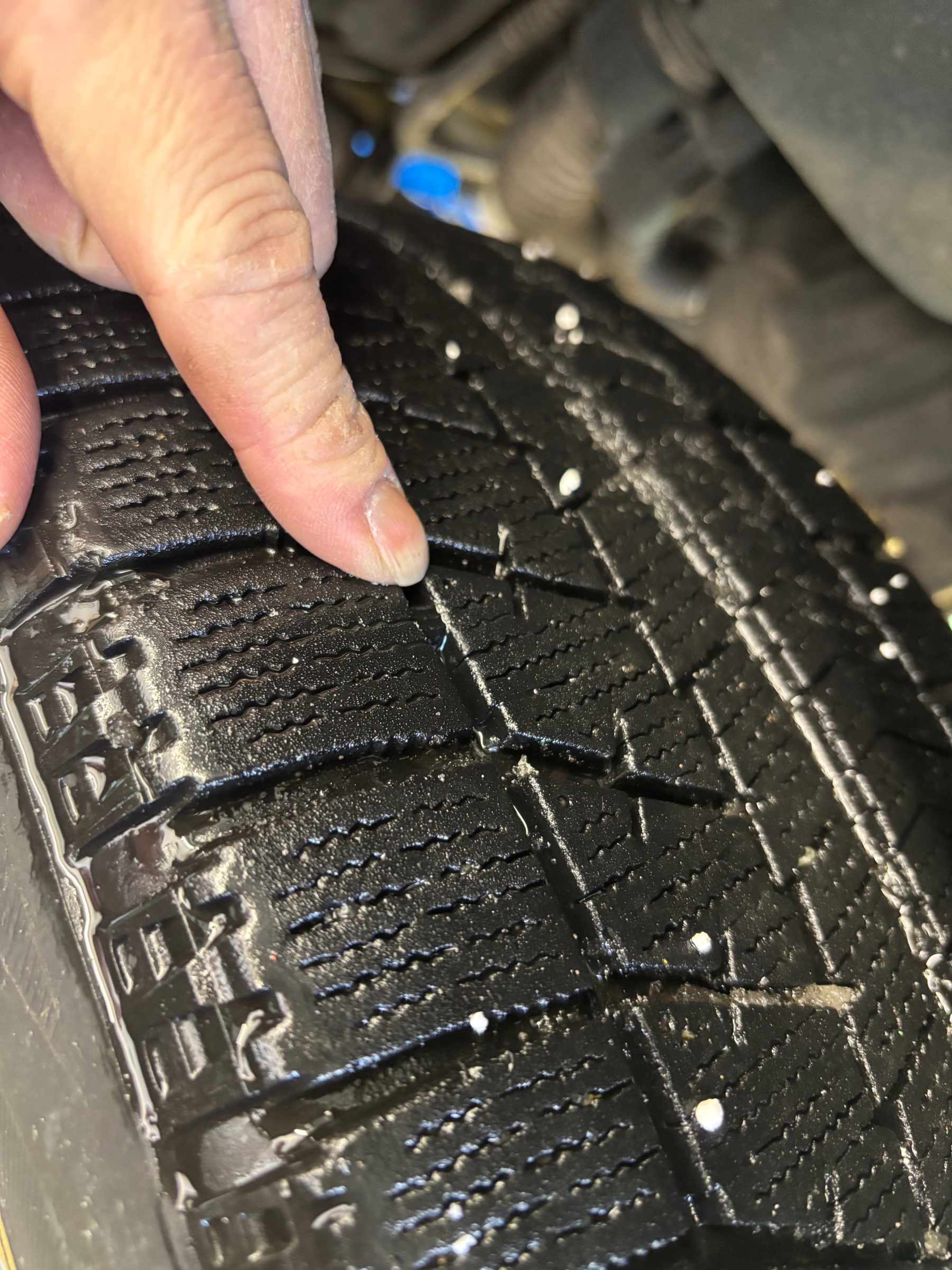 スタッフ撮影です。