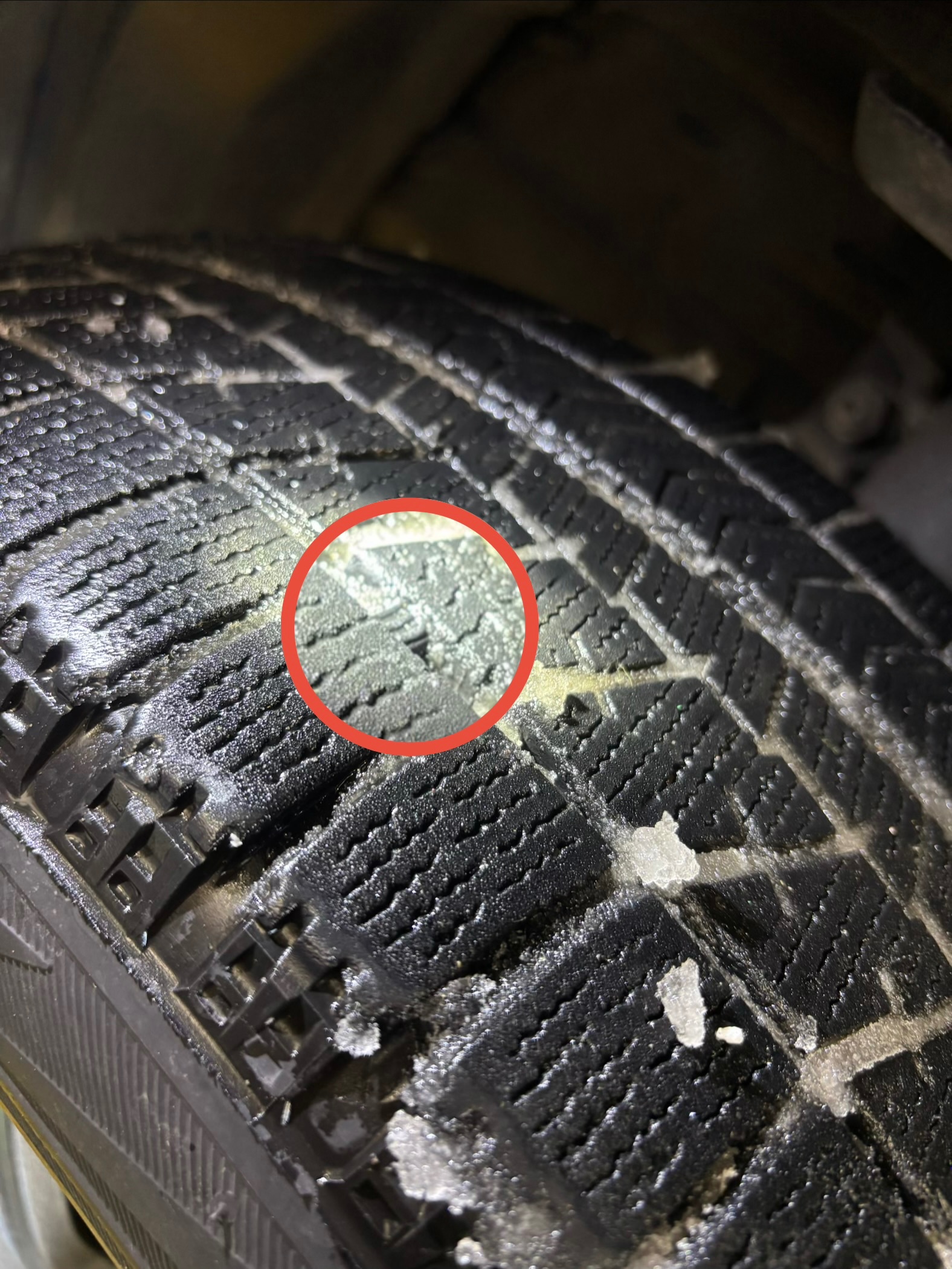 スタッフ撮影です。