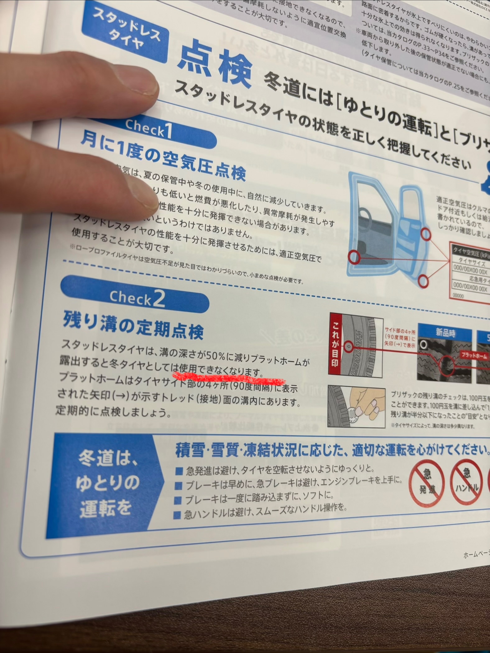 スタッフ撮影です。