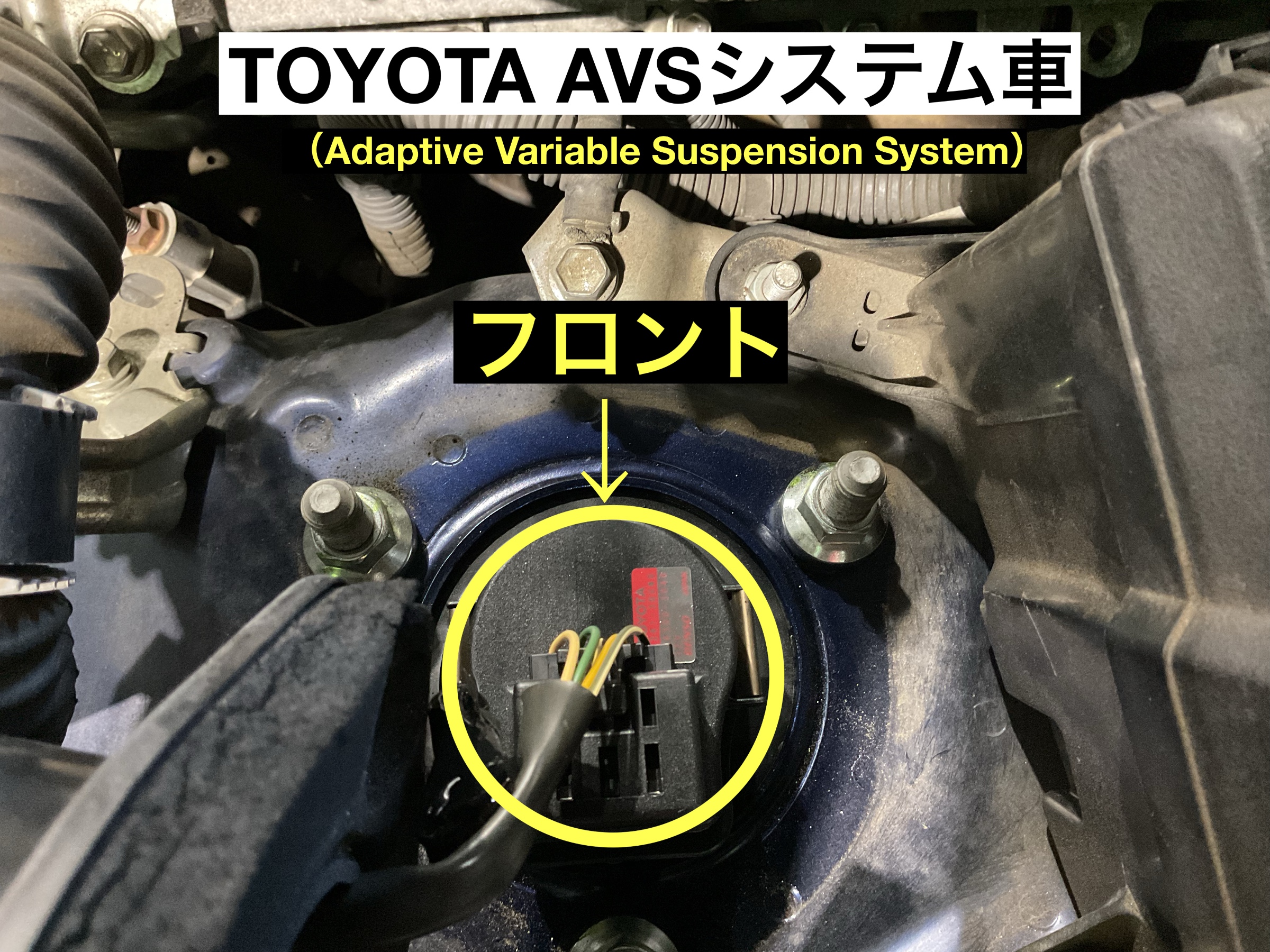 スタッフが撮影