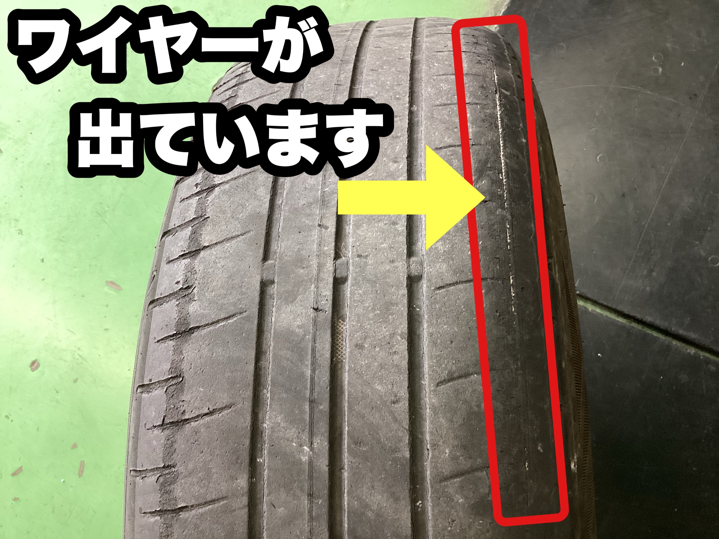 スタッフ撮影分