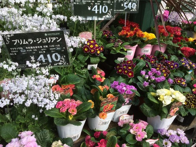 プロトリーフ 二子玉川店 スタッフ日記 タイヤ館 三鷹 東京都のタイヤ カー用品ショップ タイヤからはじまる トータルカーメンテナンス タイヤ館グループ