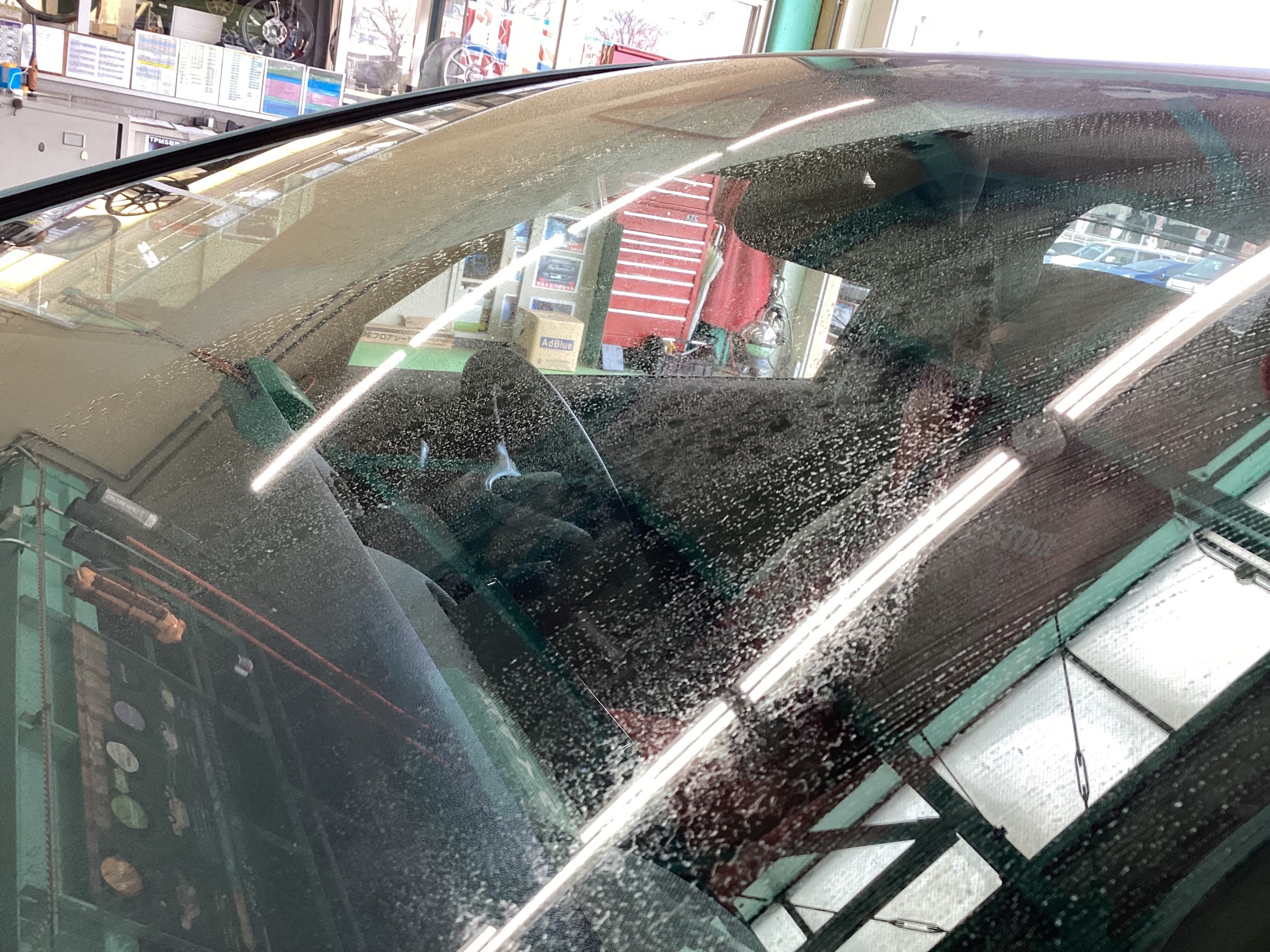 スタッフ撮影分