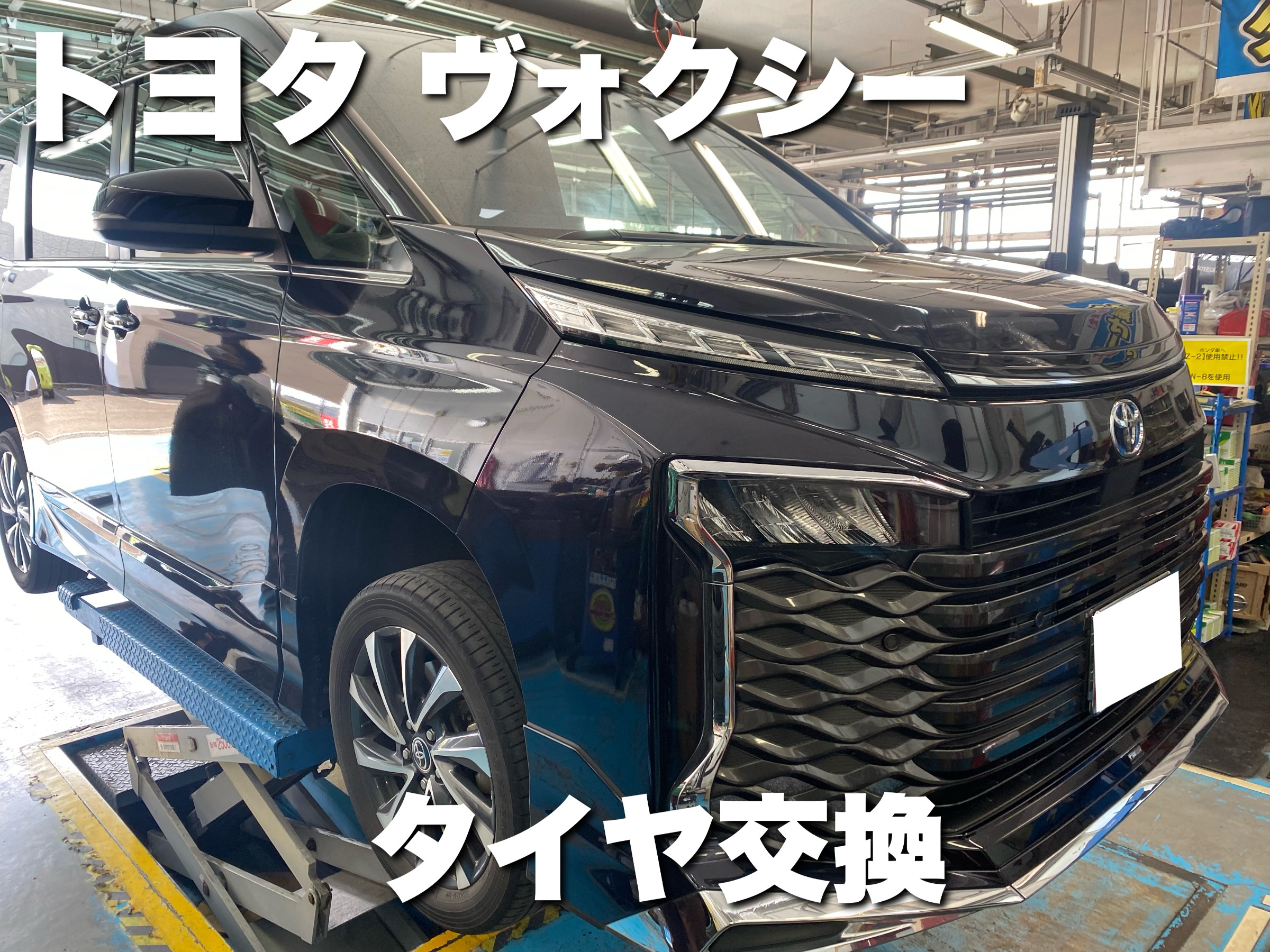 スタッフが撮影した画像