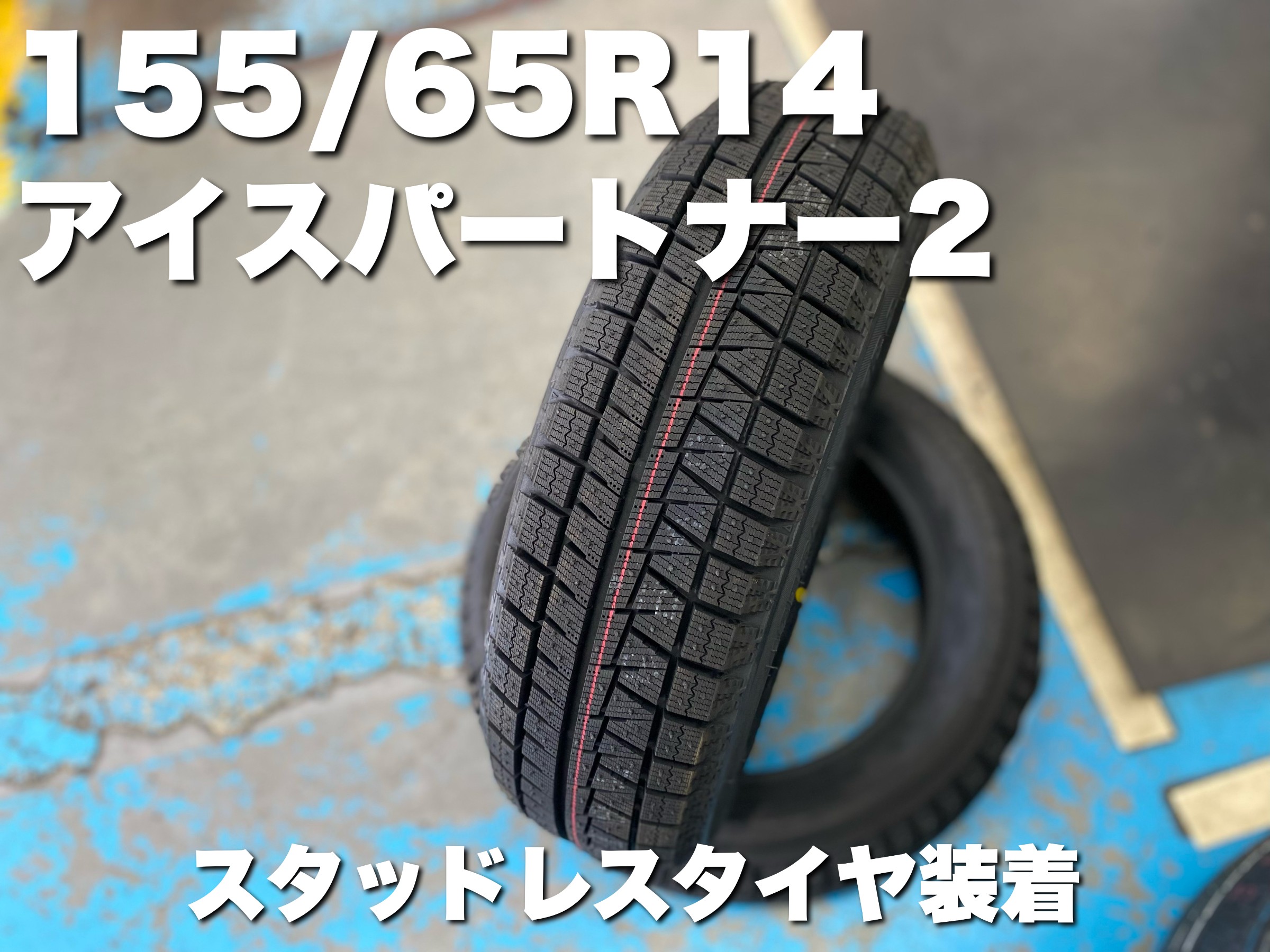 スタッフが撮影した画像