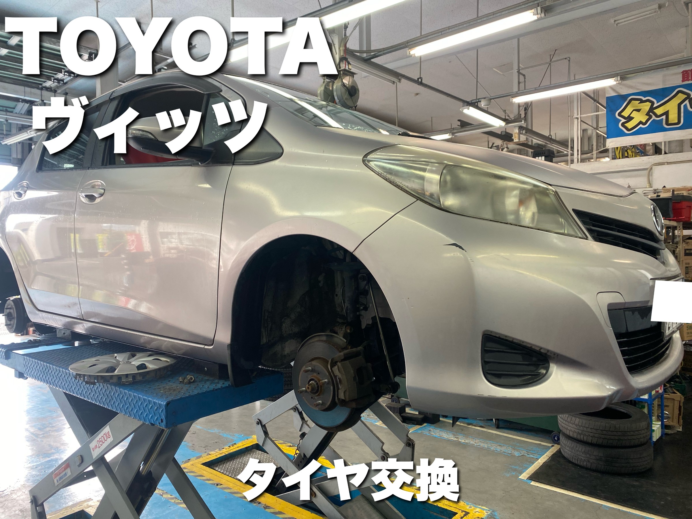 スタッフが撮影した画像