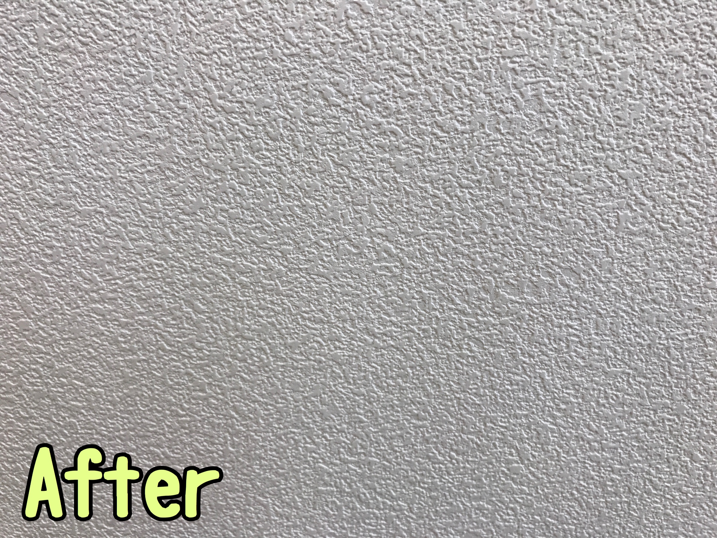 スタッフが撮影した画像です。