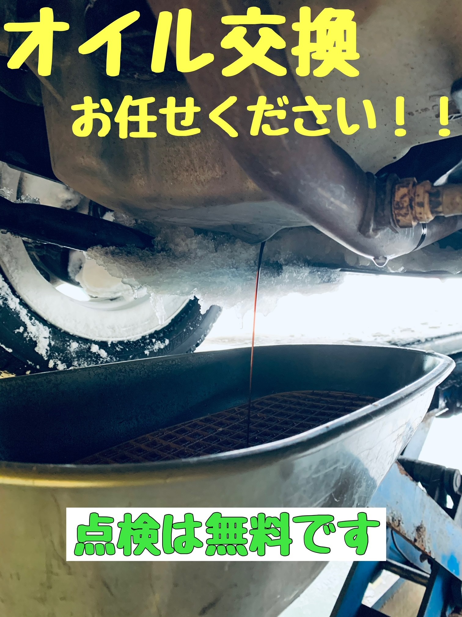 スタッフが撮影加工した画像