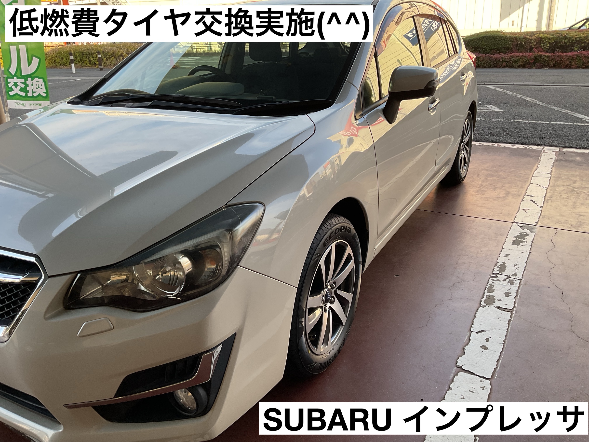 スタッフが撮影