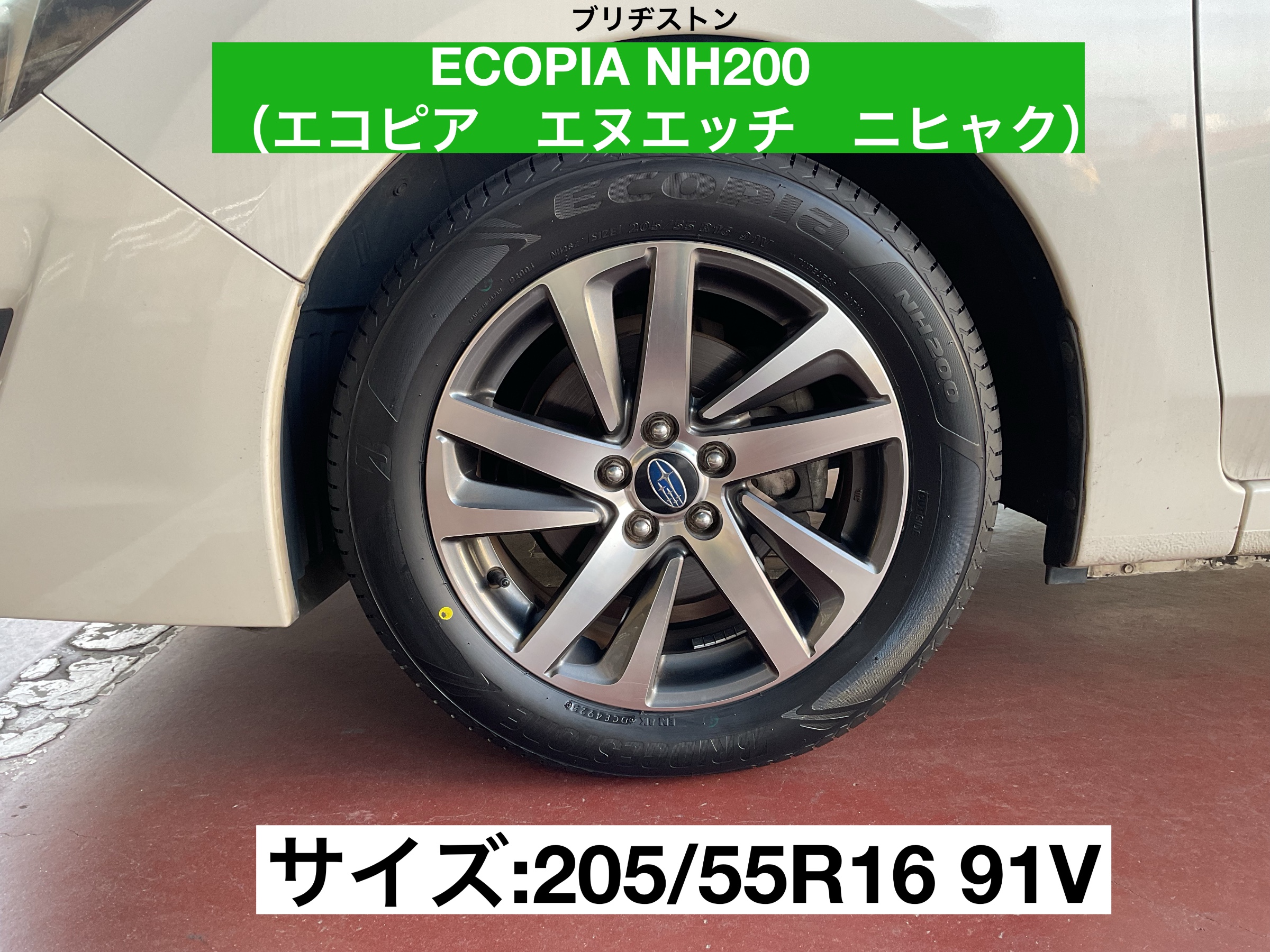 スタッフが撮影