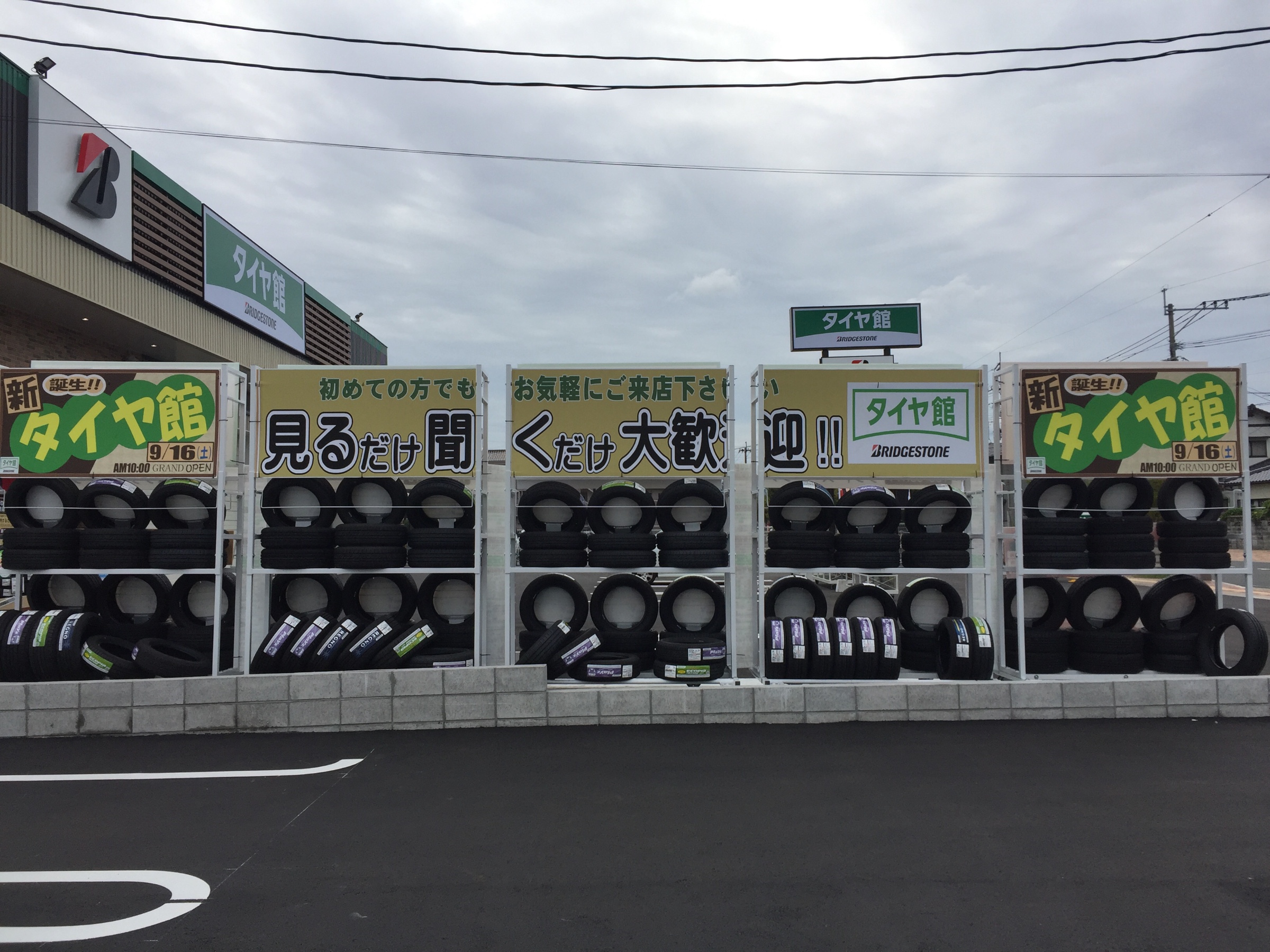 スタッフが撮影しました