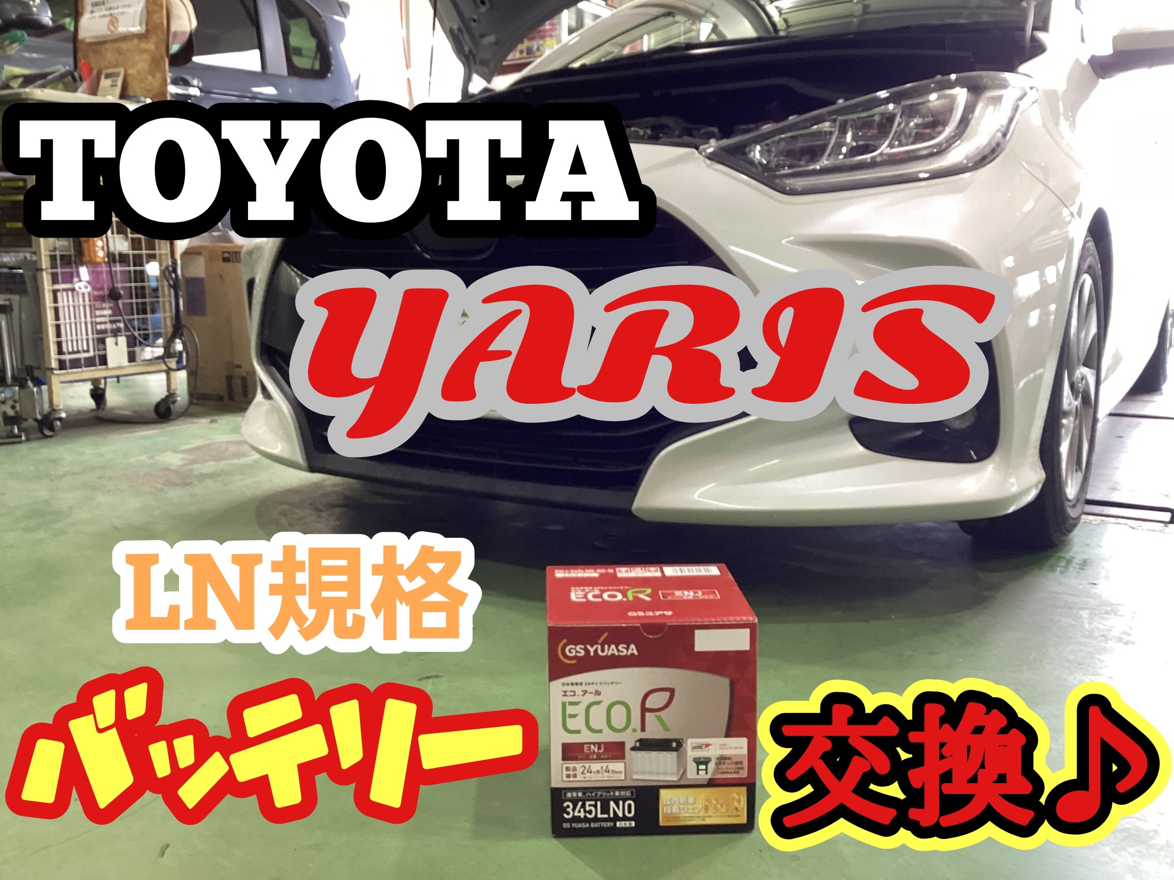 スタッフ撮影