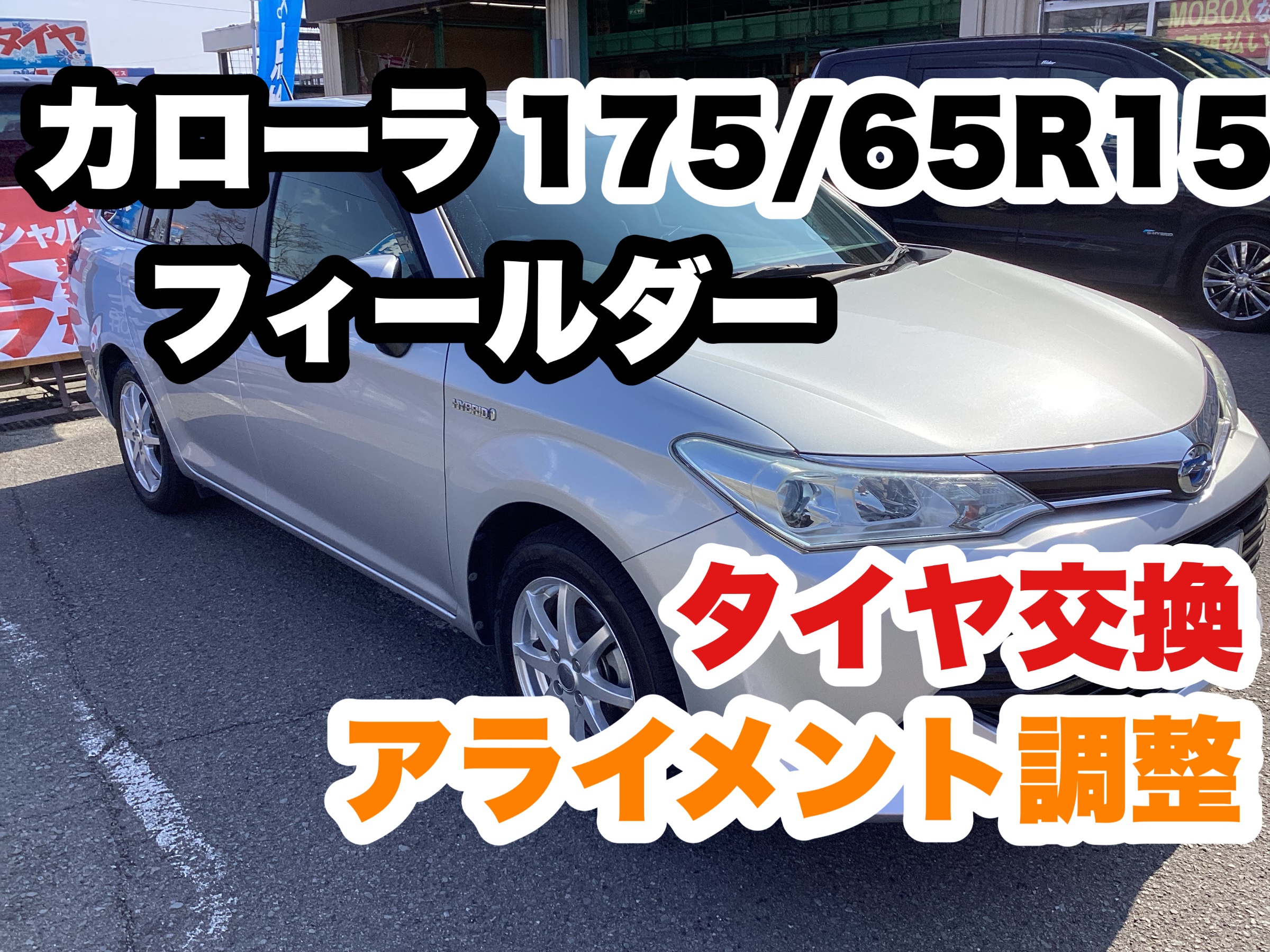 スタッフ撮影分