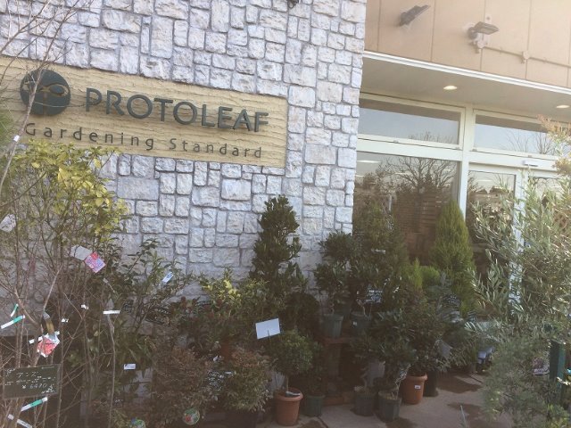 プロトリーフ 二子玉川店 スタッフ日記 タイヤ館 三鷹 東京都のタイヤ カー用品ショップ タイヤからはじまる トータルカーメンテナンス タイヤ館グループ