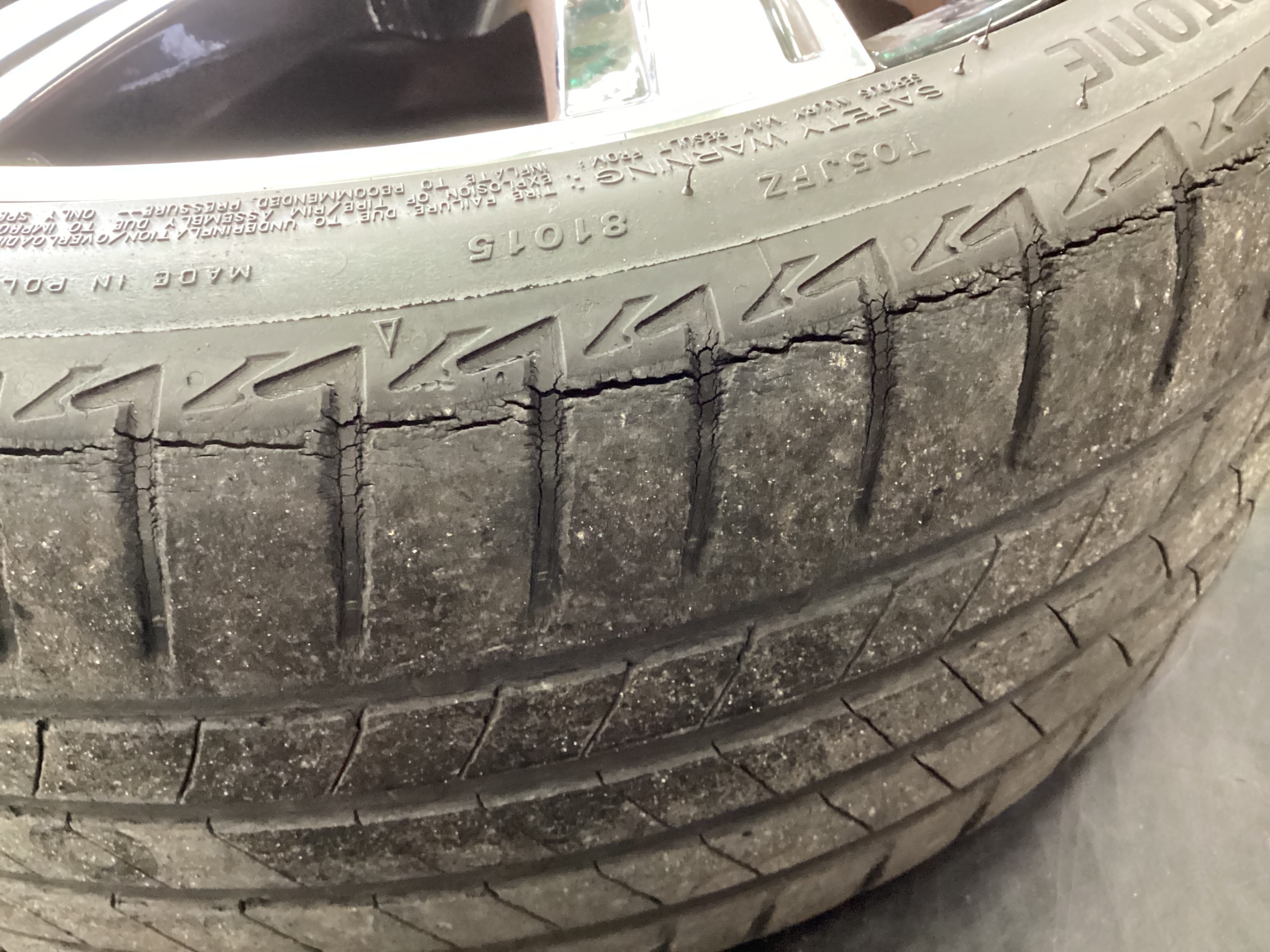 スタッフ撮影分