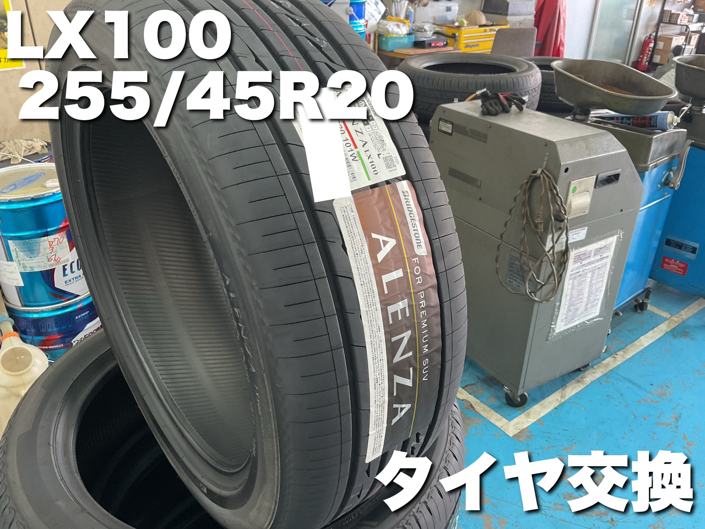 スタッフが撮影した画像