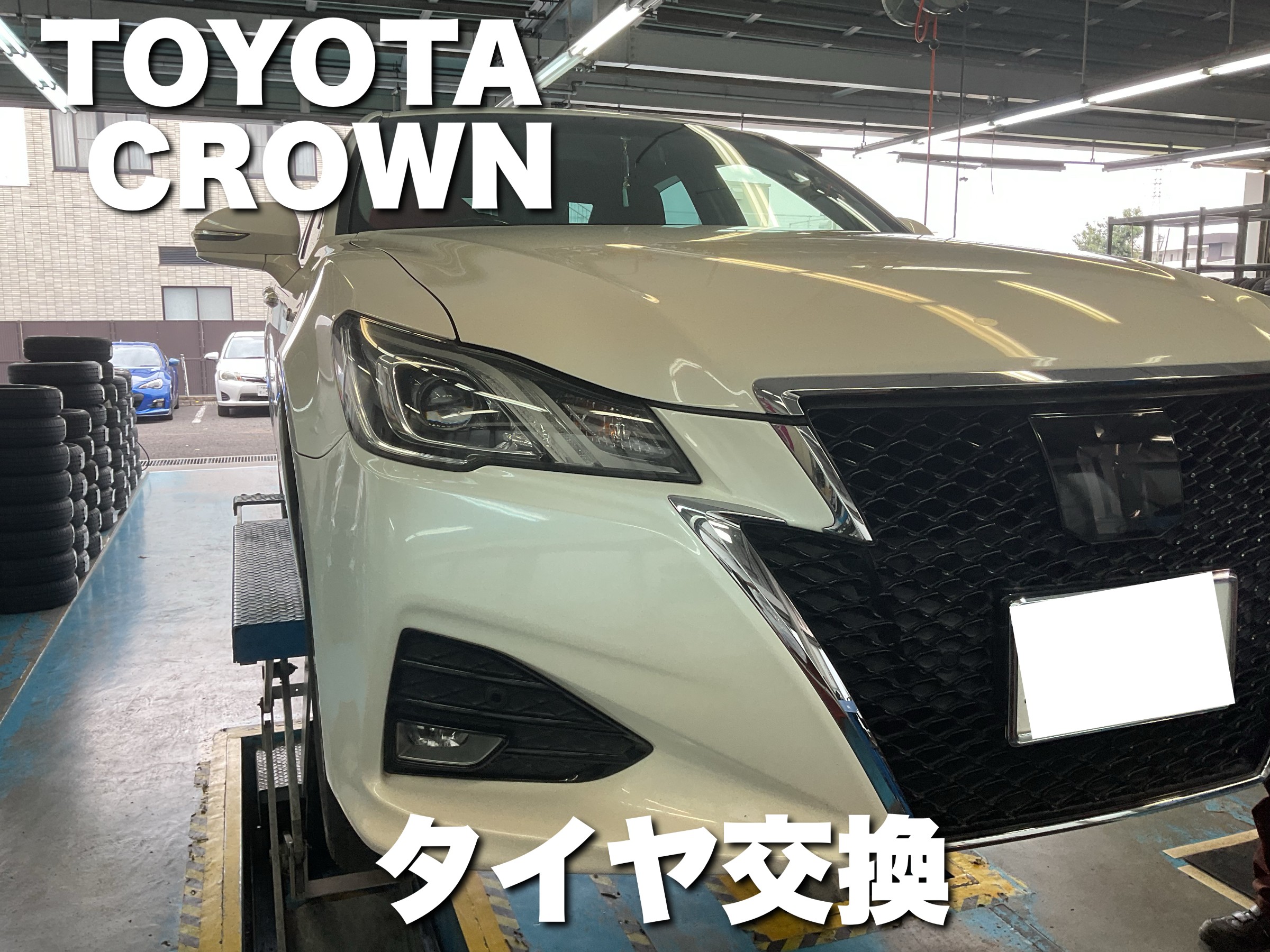 スタッフが撮影した画像