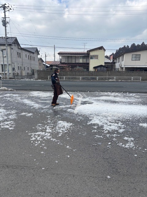 スタッフ撮影です。