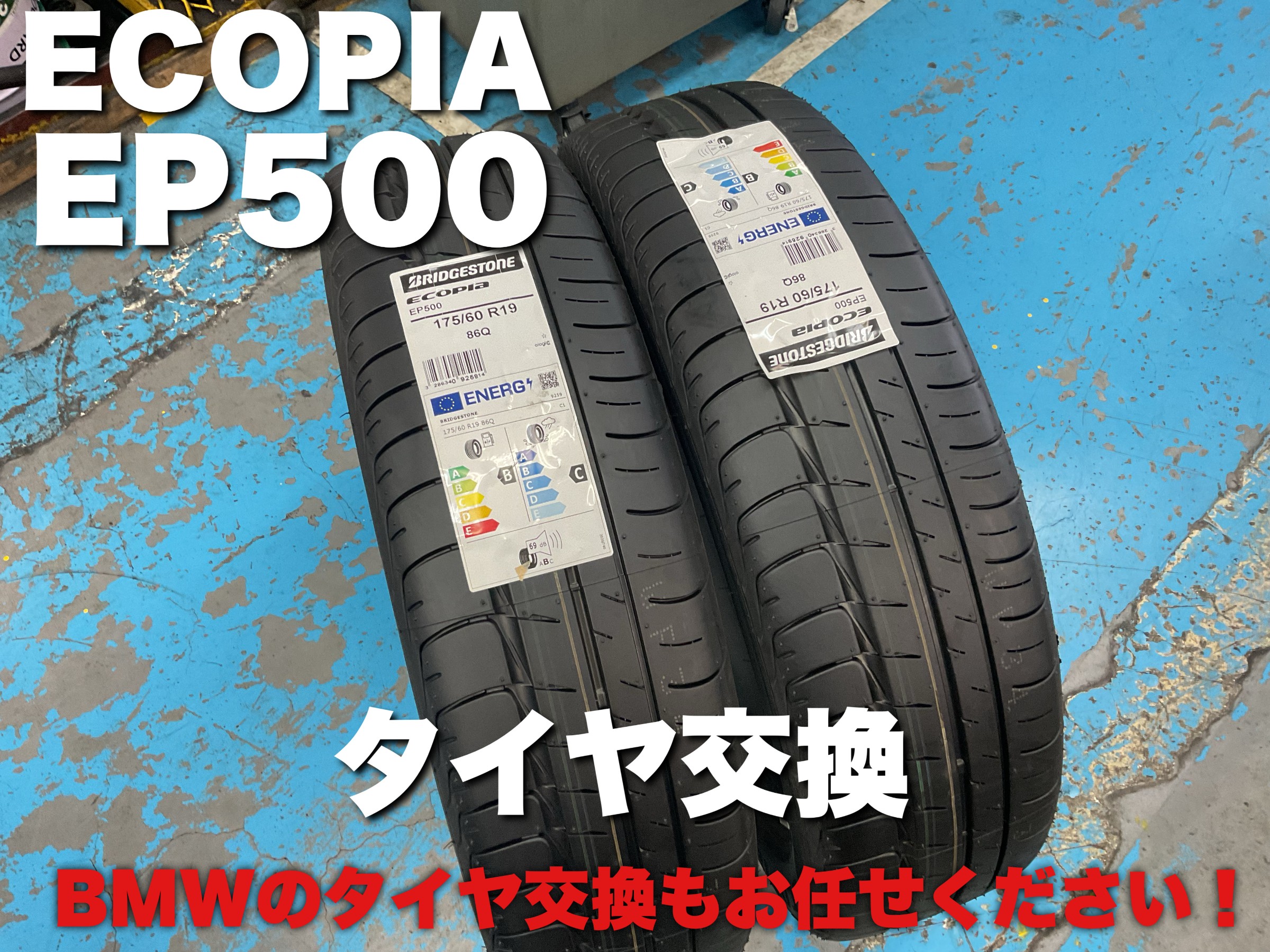 スタッフが撮影した画像