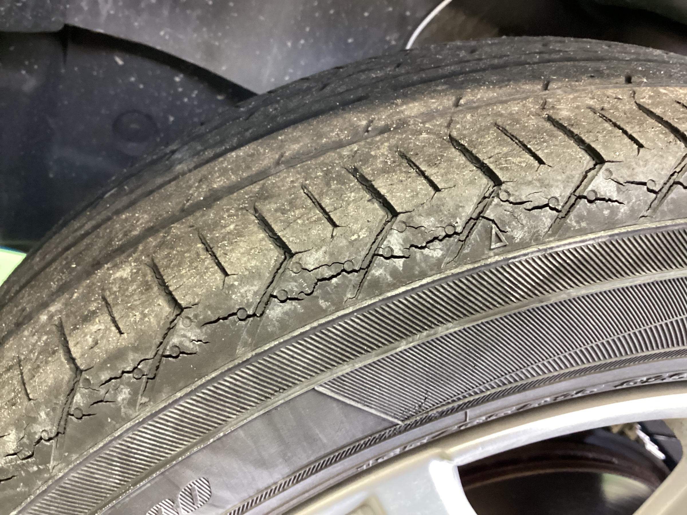 スタッフ撮影分