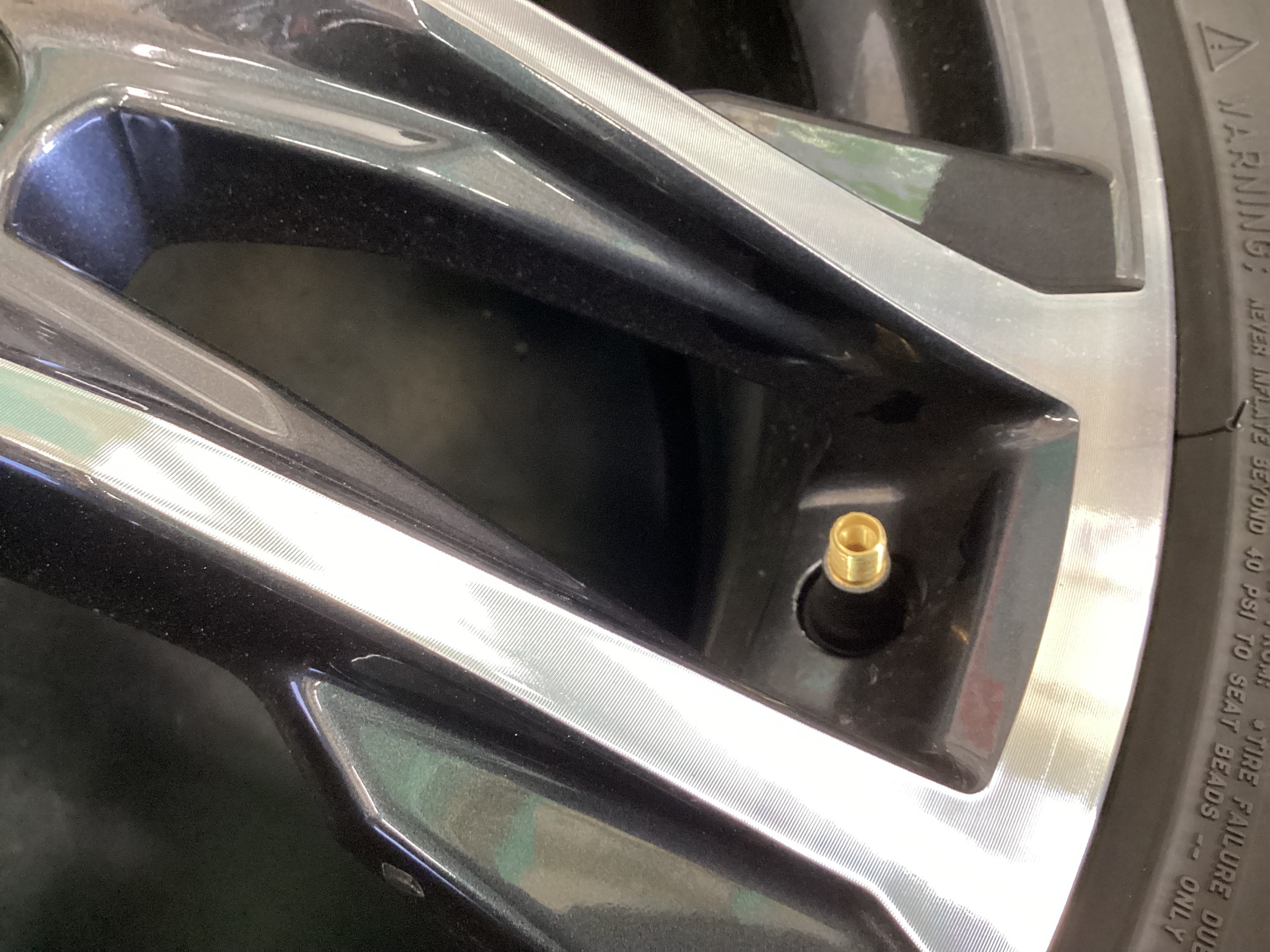 スタッフ撮影分