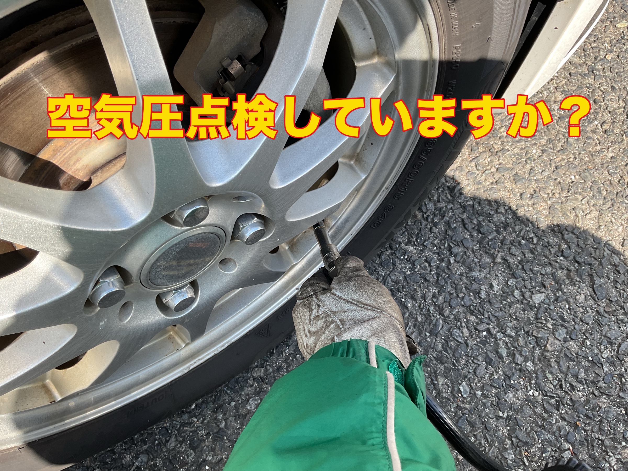 スタッフ撮影。無料画像編集アプリにて編集。