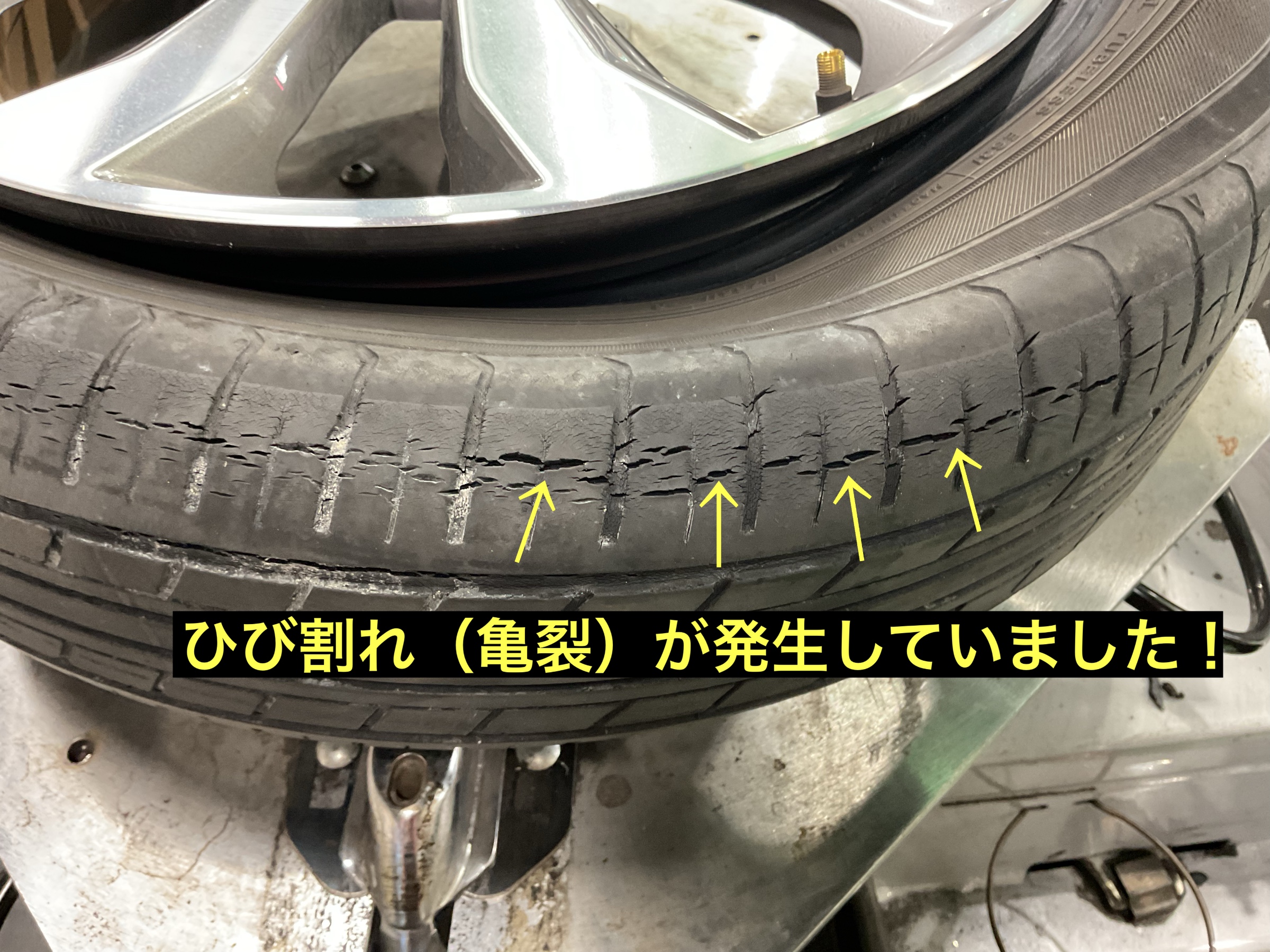 スタッフが撮影
