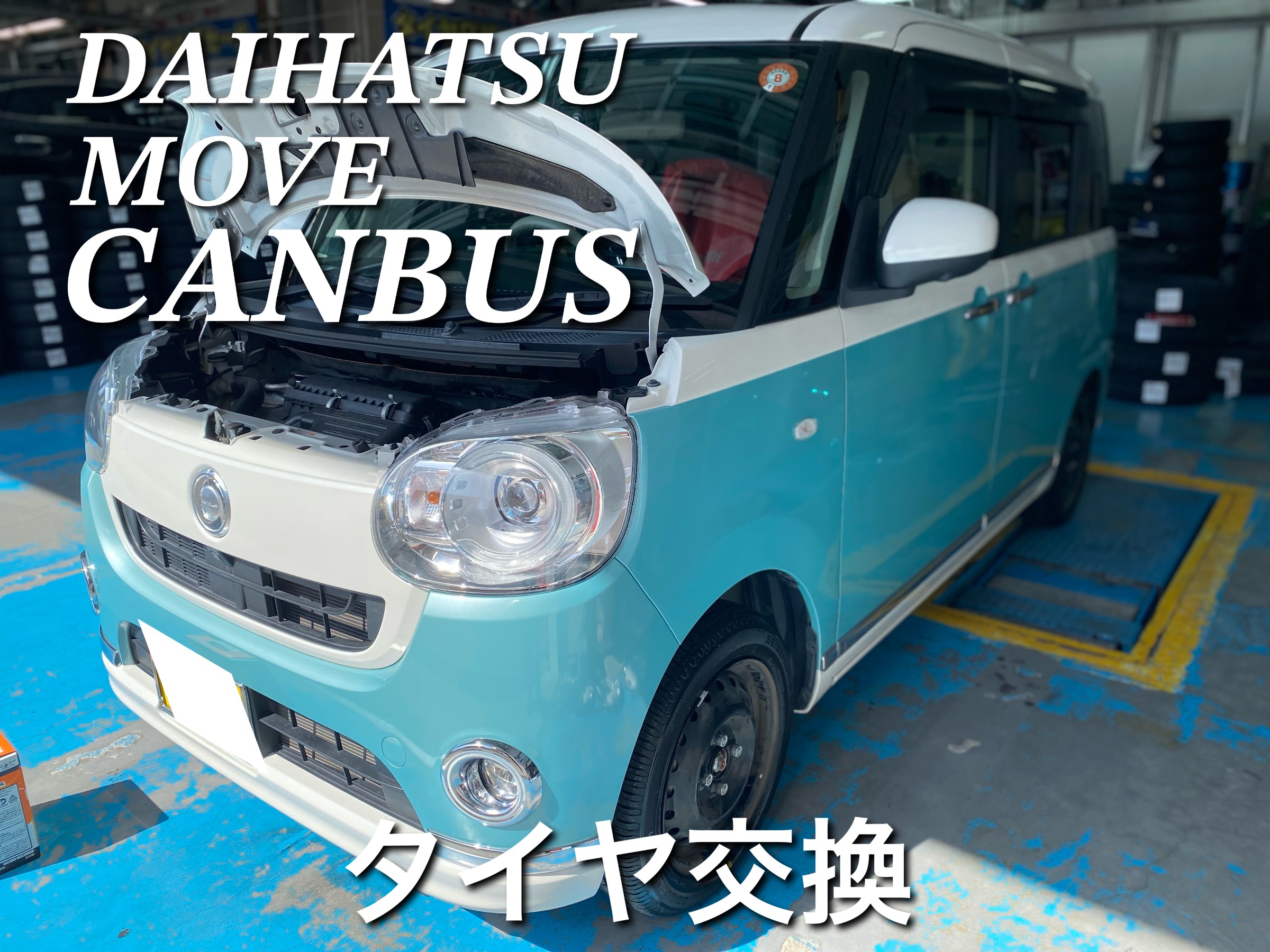 スタッフが撮影した画像
