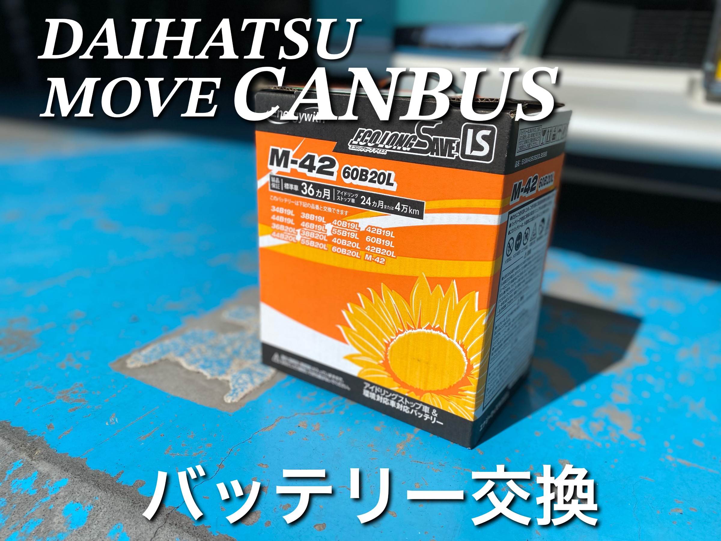 スタッフが撮影した画像